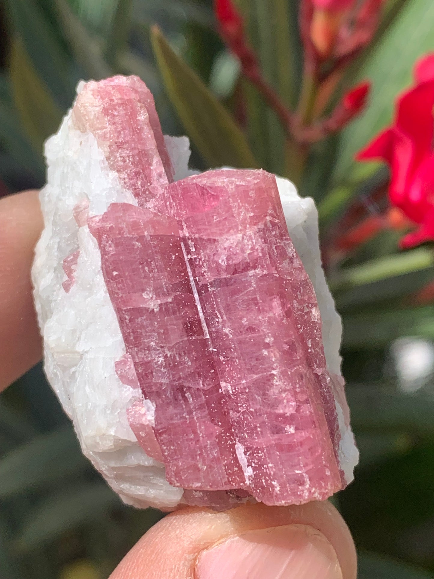Tourmaline Rubellite, spécimen naturel de 45 x 31 x 30 mm - 47,7 grammes. Belle petite pièce !