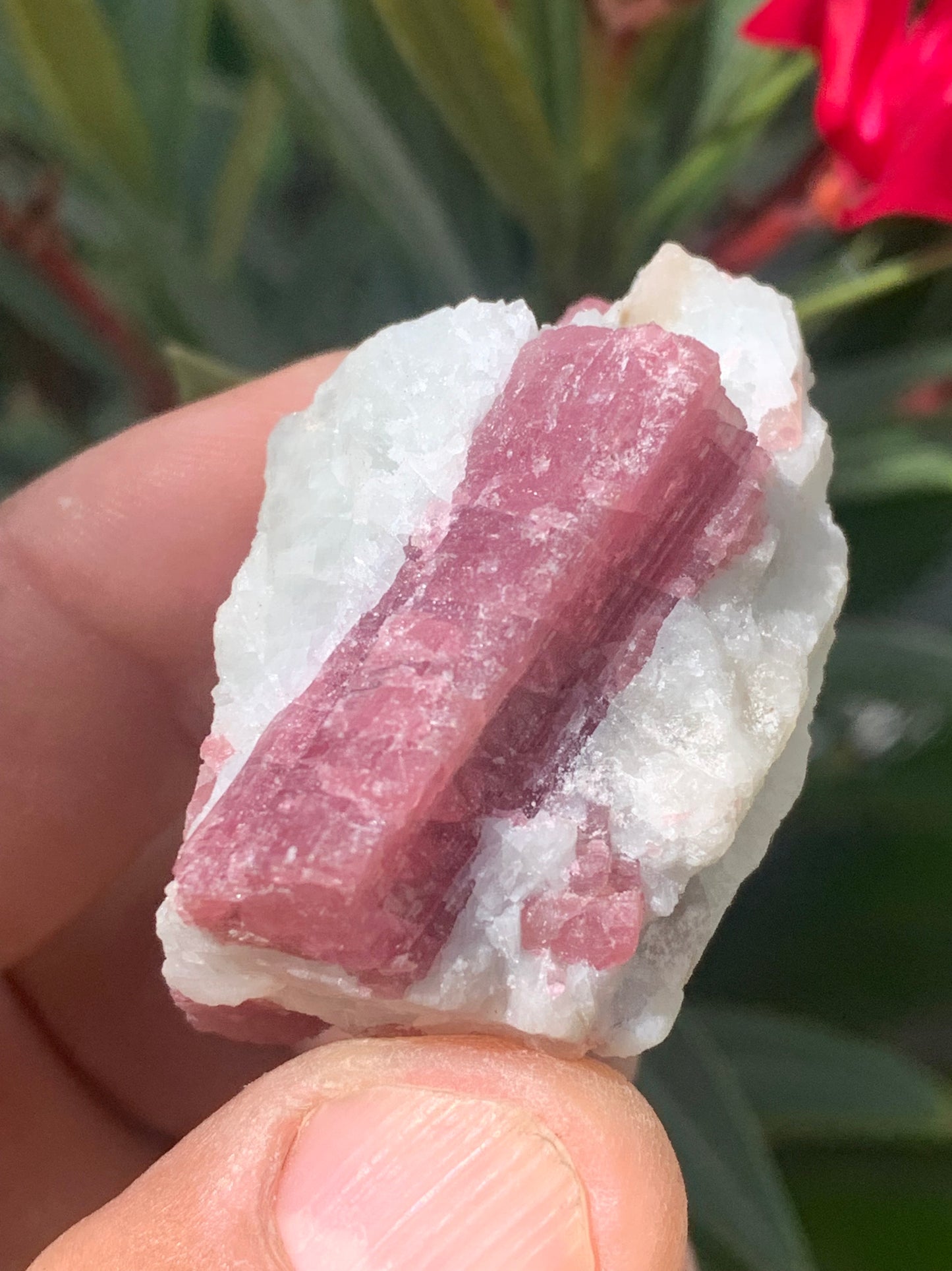 Tourmaline Rubellite, spécimen naturel de 45 x 31 x 30 mm - 47,7 grammes. Belle petite pièce !