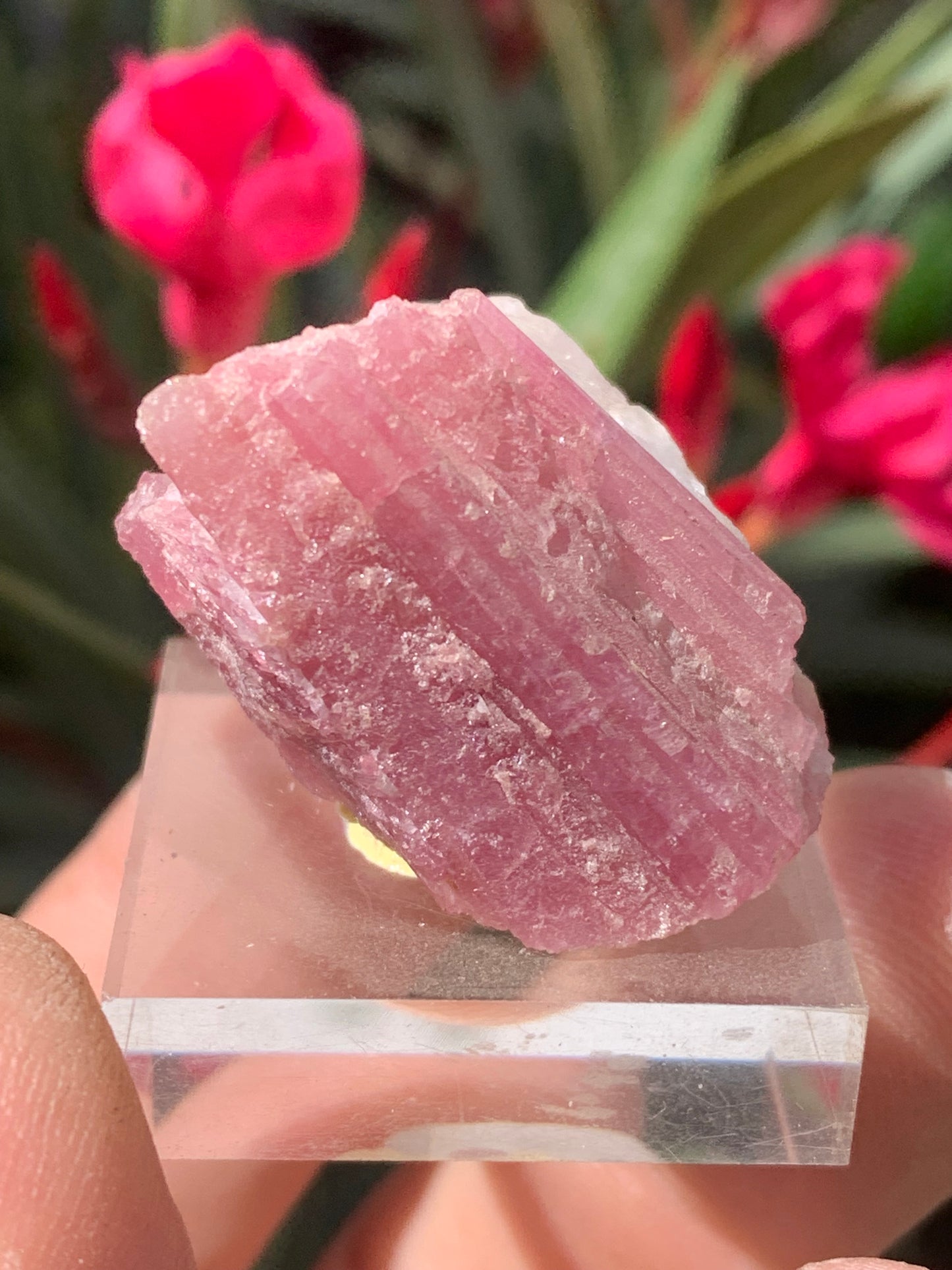 Tourmaline Rubellite, spécimen naturel de 33 x 22 x 20 mm - 17 grammes. Belle petite pièce !