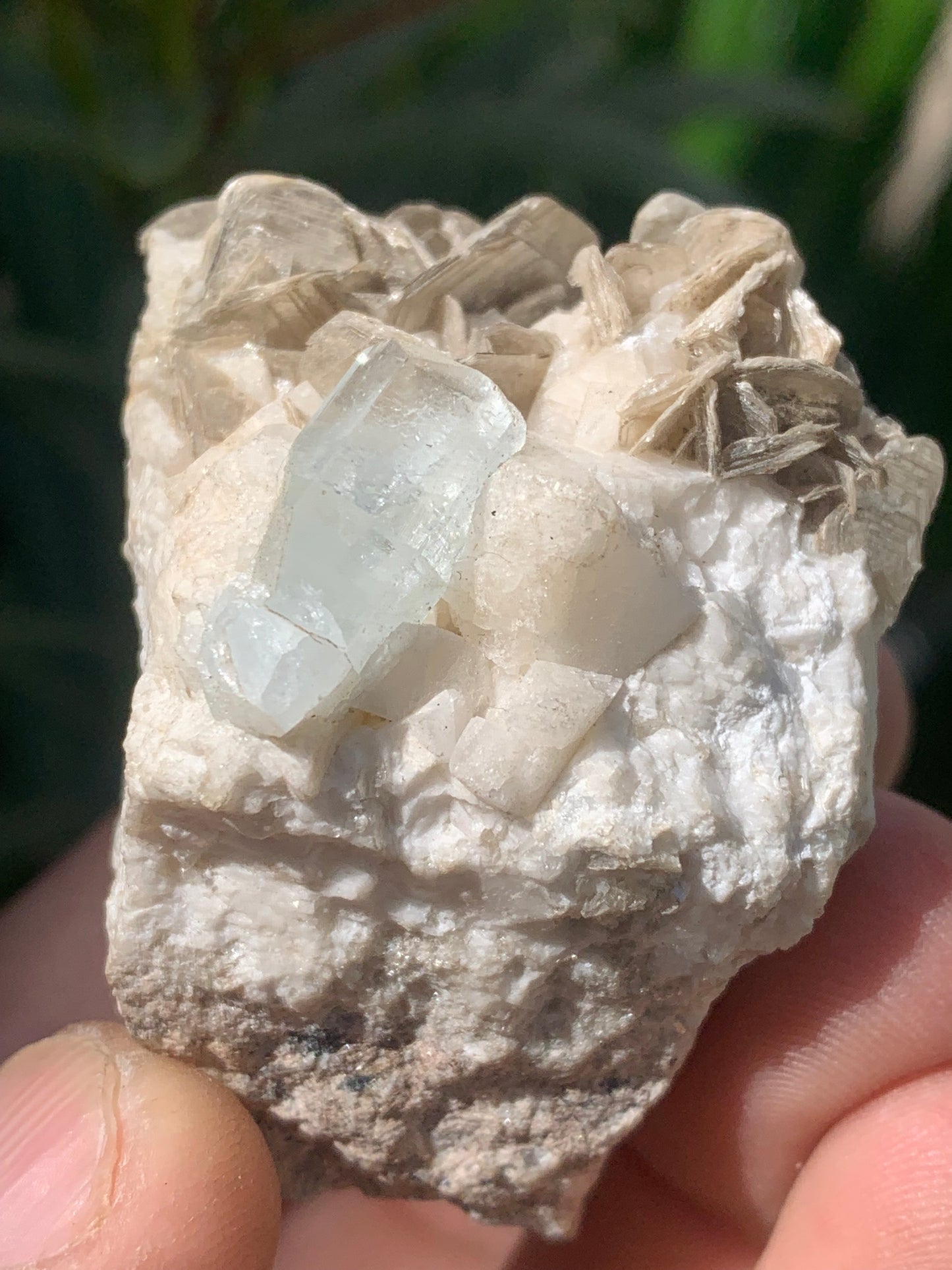 Aigue-marine avec Muscovite, superbe pièce de 54x43x38mm - 120,3 grammes, un magnifique cristal sur gangue !