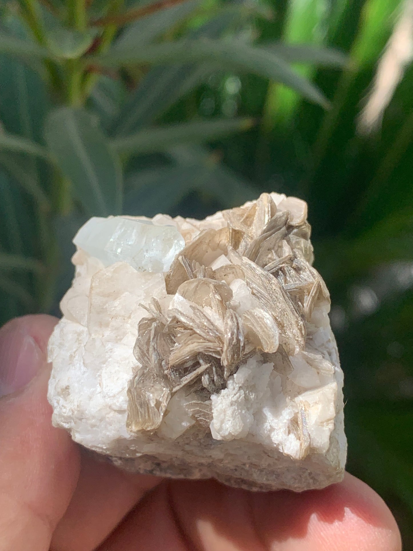 Aigue-marine avec Muscovite, superbe pièce de 54x43x38mm - 120,3 grammes, un magnifique cristal sur gangue !