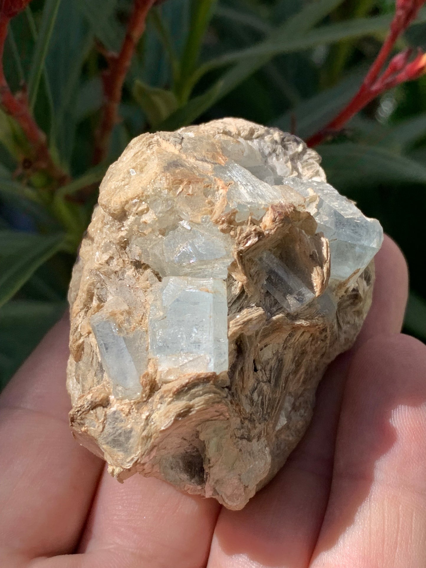 Aigue-marine avec Muscovite, superbe pièce de 66x48x43mm - 162,8 grammes, 6 magnifiques cristaux sur gangue !
