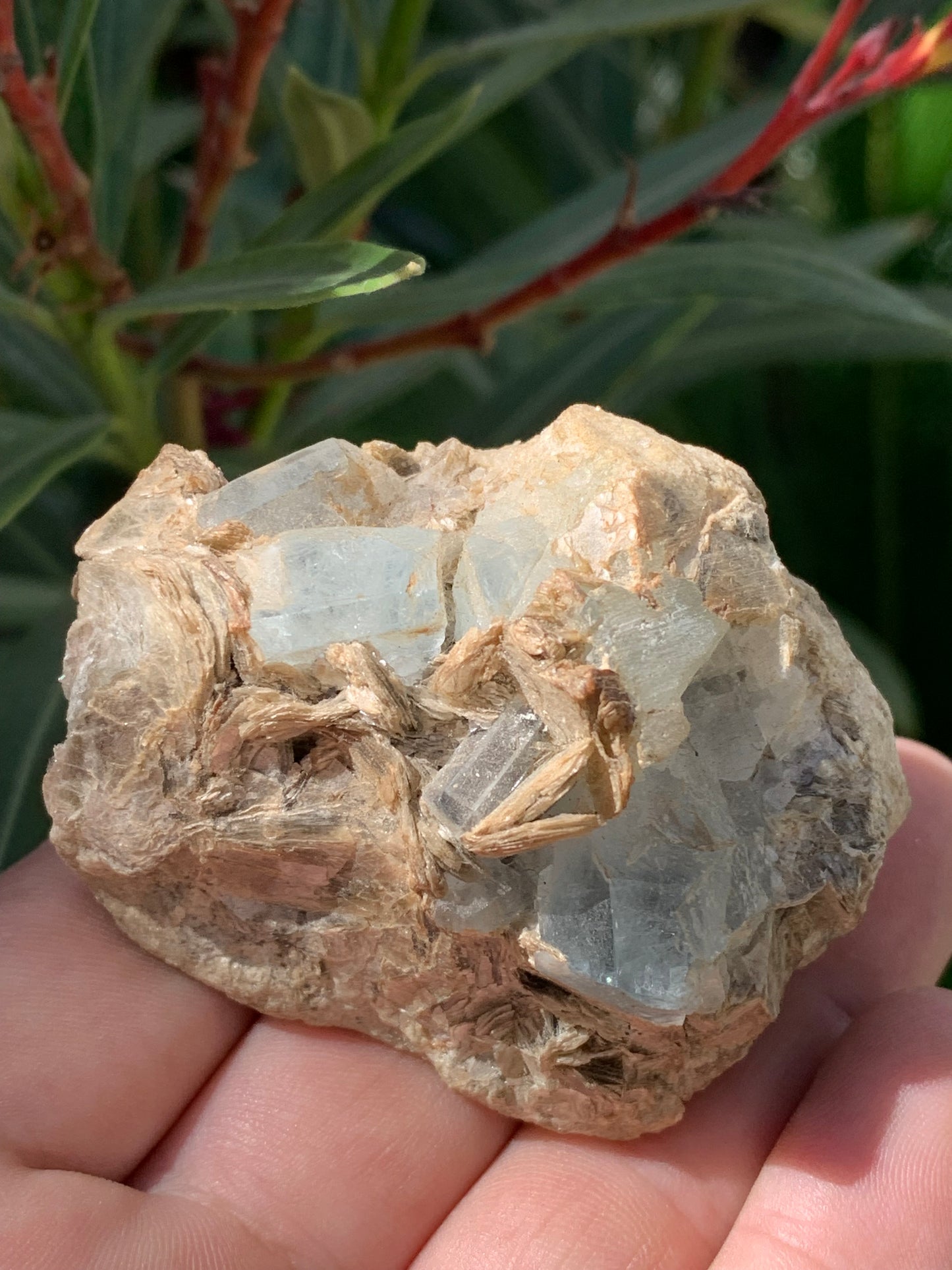 Aigue-marine avec Muscovite, superbe pièce de 66x48x43mm - 162,8 grammes, 6 magnifiques cristaux sur gangue !