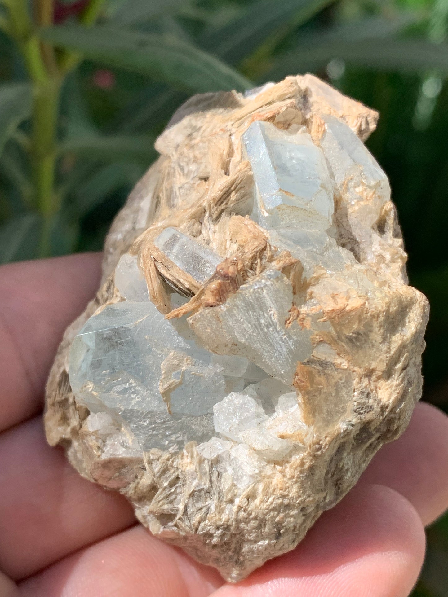 Aigue-marine avec Muscovite, superbe pièce de 66x48x43mm - 162,8 grammes, 6 magnifiques cristaux sur gangue !