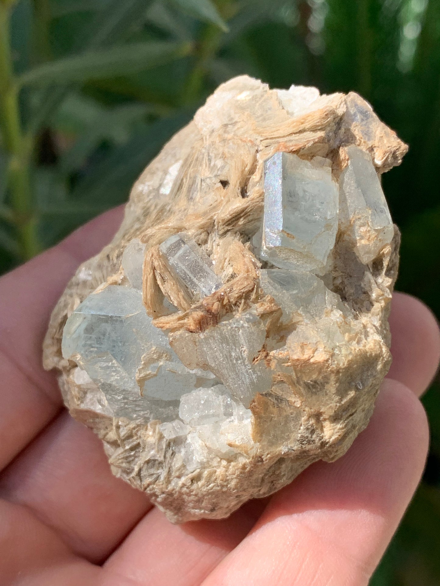 Aigue-marine avec Muscovite, superbe pièce de 66x48x43mm - 162,8 grammes, 6 magnifiques cristaux sur gangue !