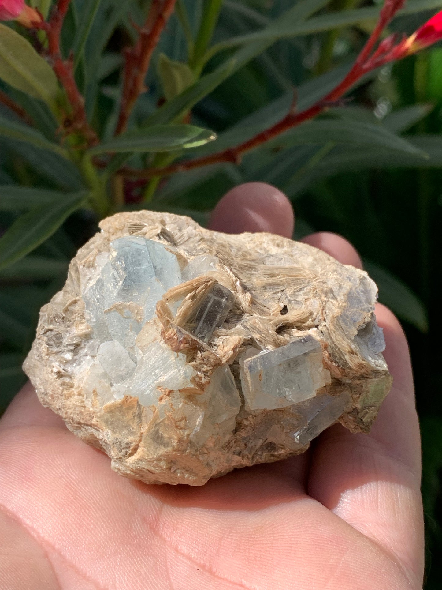 Aigue-marine avec Muscovite, superbe pièce de 66x48x43mm - 162,8 grammes, 6 magnifiques cristaux sur gangue !