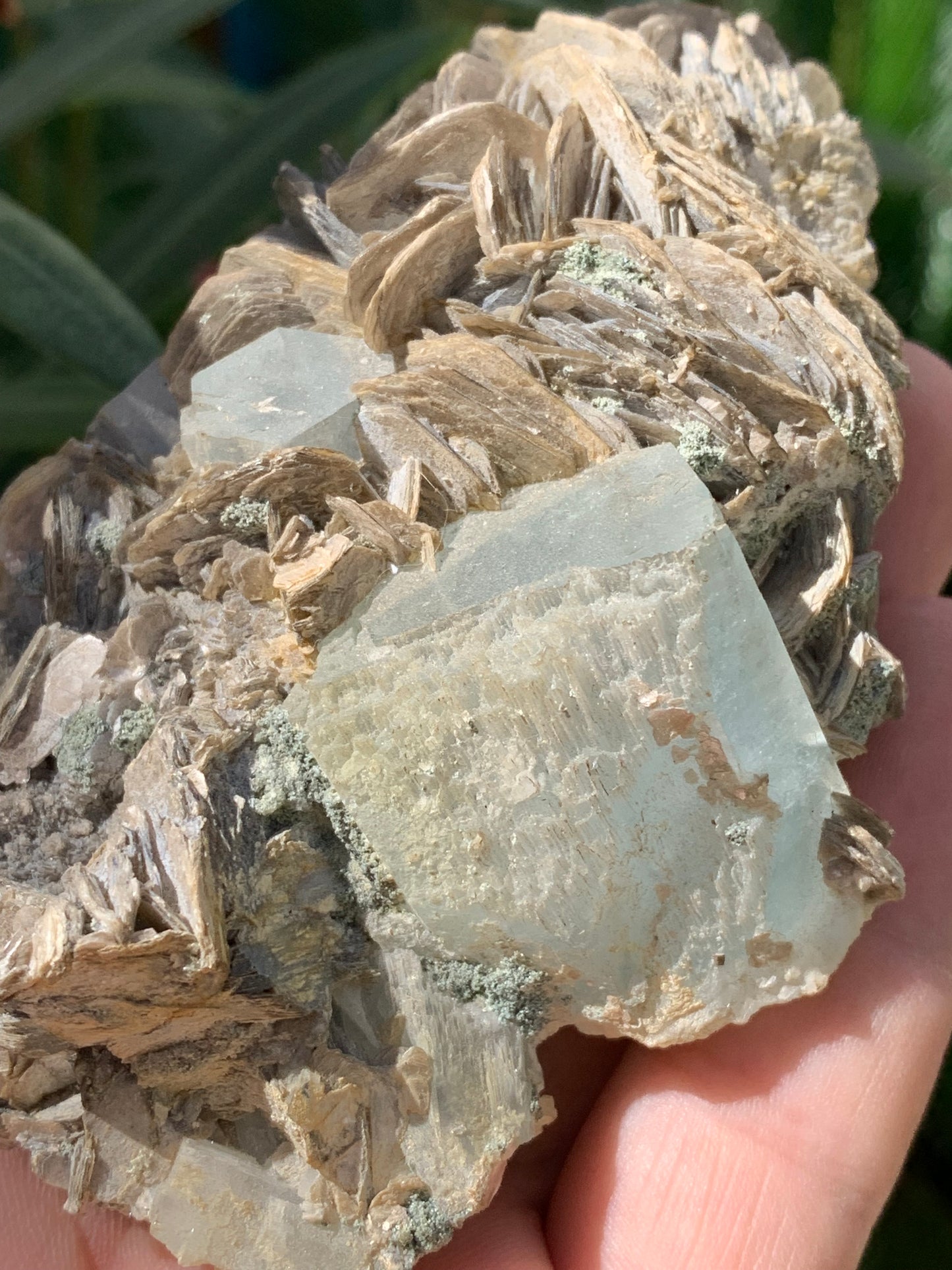 Aigue-marine avec Muscovite, superbe pièce de 101x72x44mm - 186,6 grammes. Magnifiques cristaux dont un très gros sur gangue !