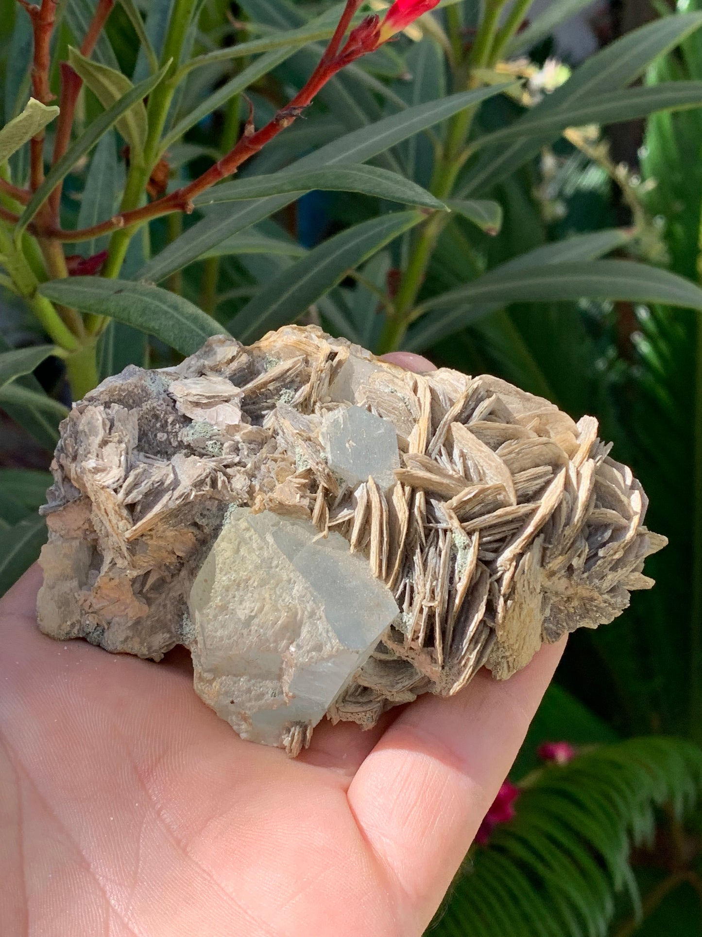 Aigue-marine avec Muscovite, superbe pièce de 101x72x44mm - 186,6 grammes. Magnifiques cristaux dont un très gros sur gangue !