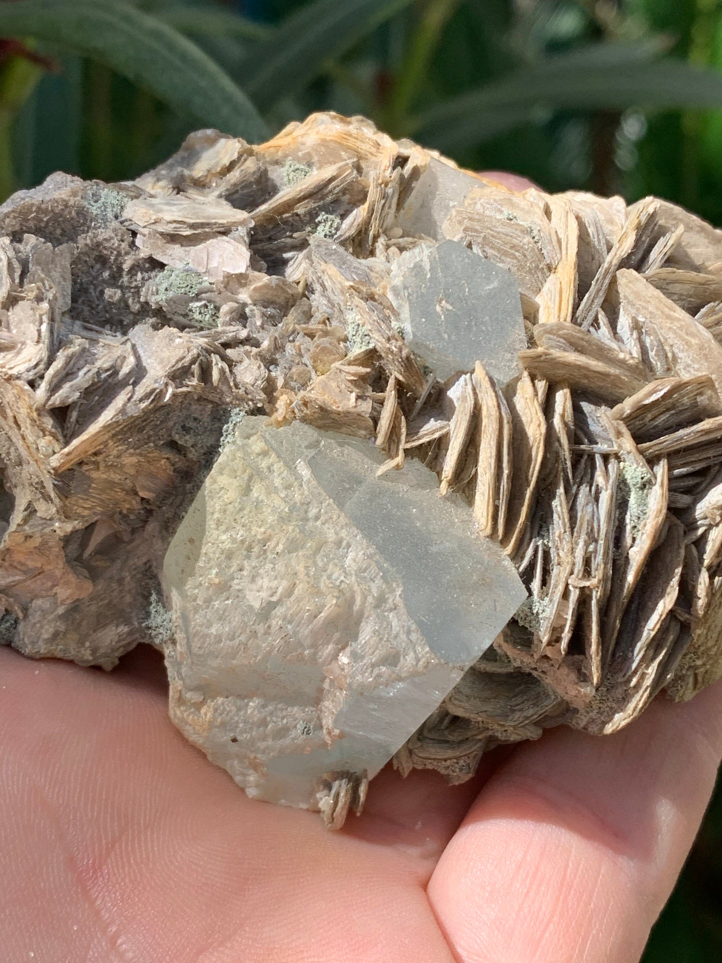 Aigue-marine avec Muscovite, superbe pièce de 101x72x44mm - 186,6 grammes. Magnifiques cristaux dont un très gros sur gangue !