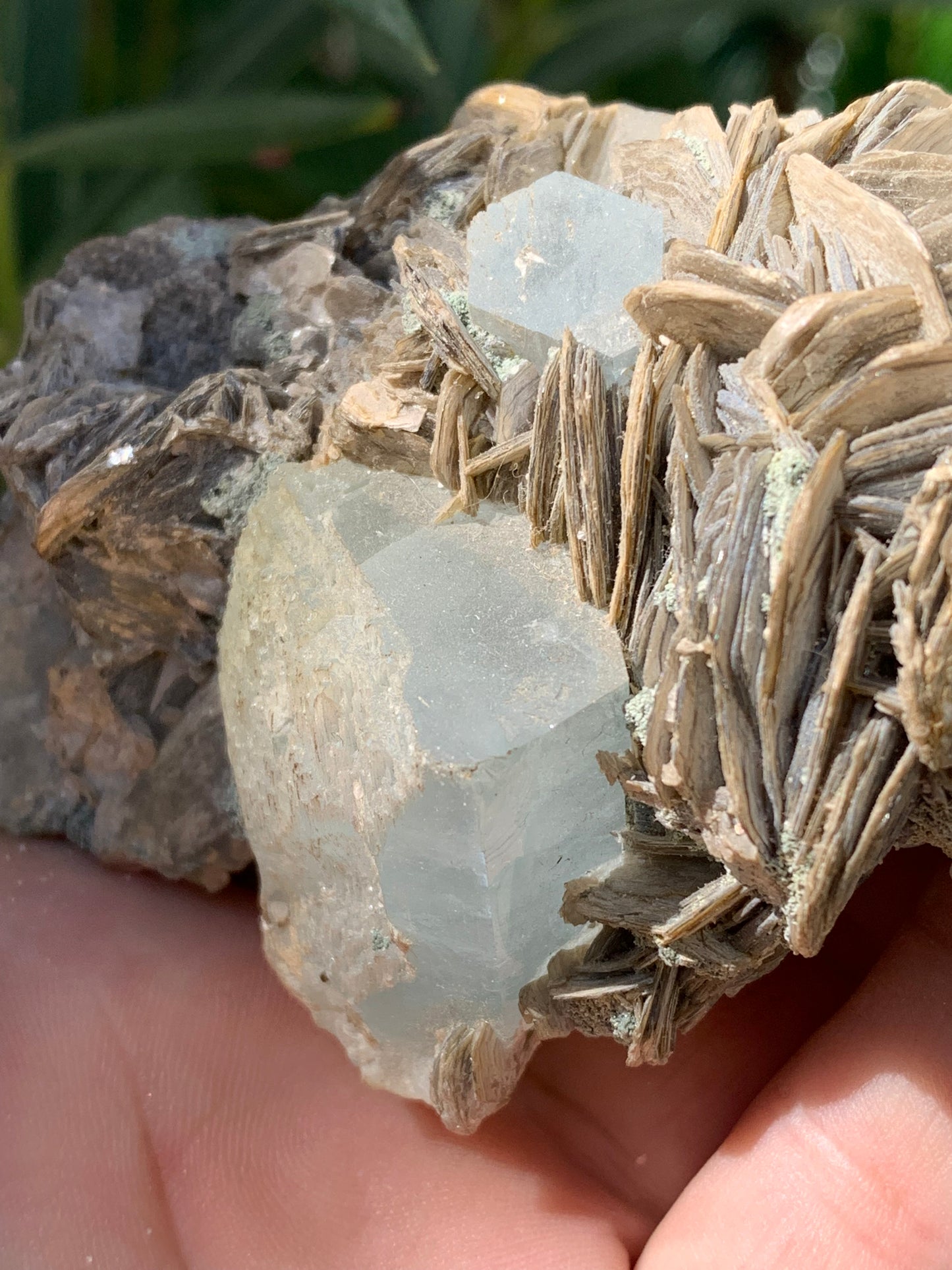 Aigue-marine avec Muscovite, superbe pièce de 101x72x44mm - 186,6 grammes. Magnifiques cristaux dont un très gros sur gangue !