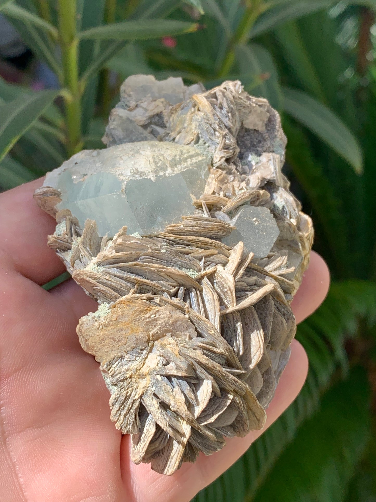 Aigue-marine avec Muscovite, superbe pièce de 101x72x44mm - 186,6 grammes. Magnifiques cristaux dont un très gros sur gangue !