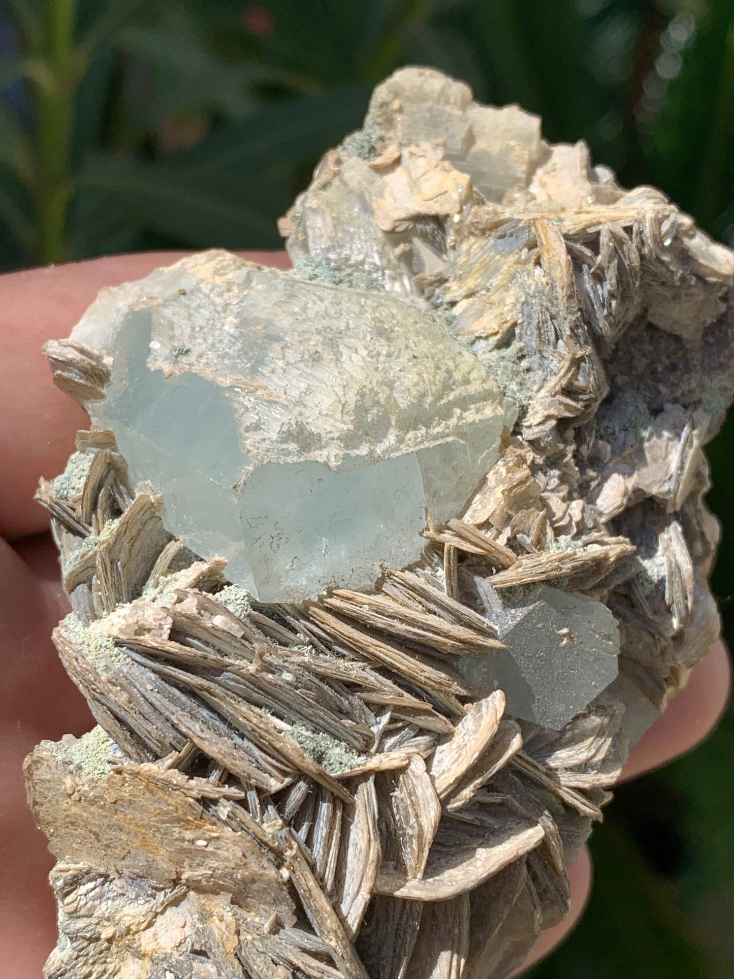 Aigue-marine avec Muscovite, superbe pièce de 101x72x44mm - 186,6 grammes. Magnifiques cristaux dont un très gros sur gangue !