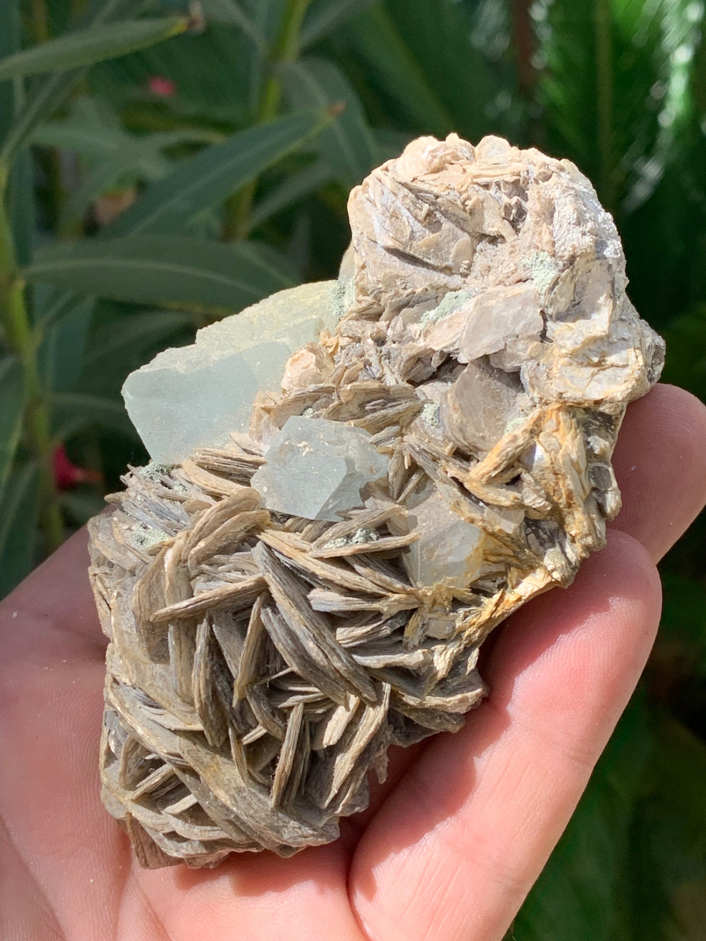 Aigue-marine avec Muscovite, superbe pièce de 101x72x44mm - 186,6 grammes. Magnifiques cristaux dont un très gros sur gangue !