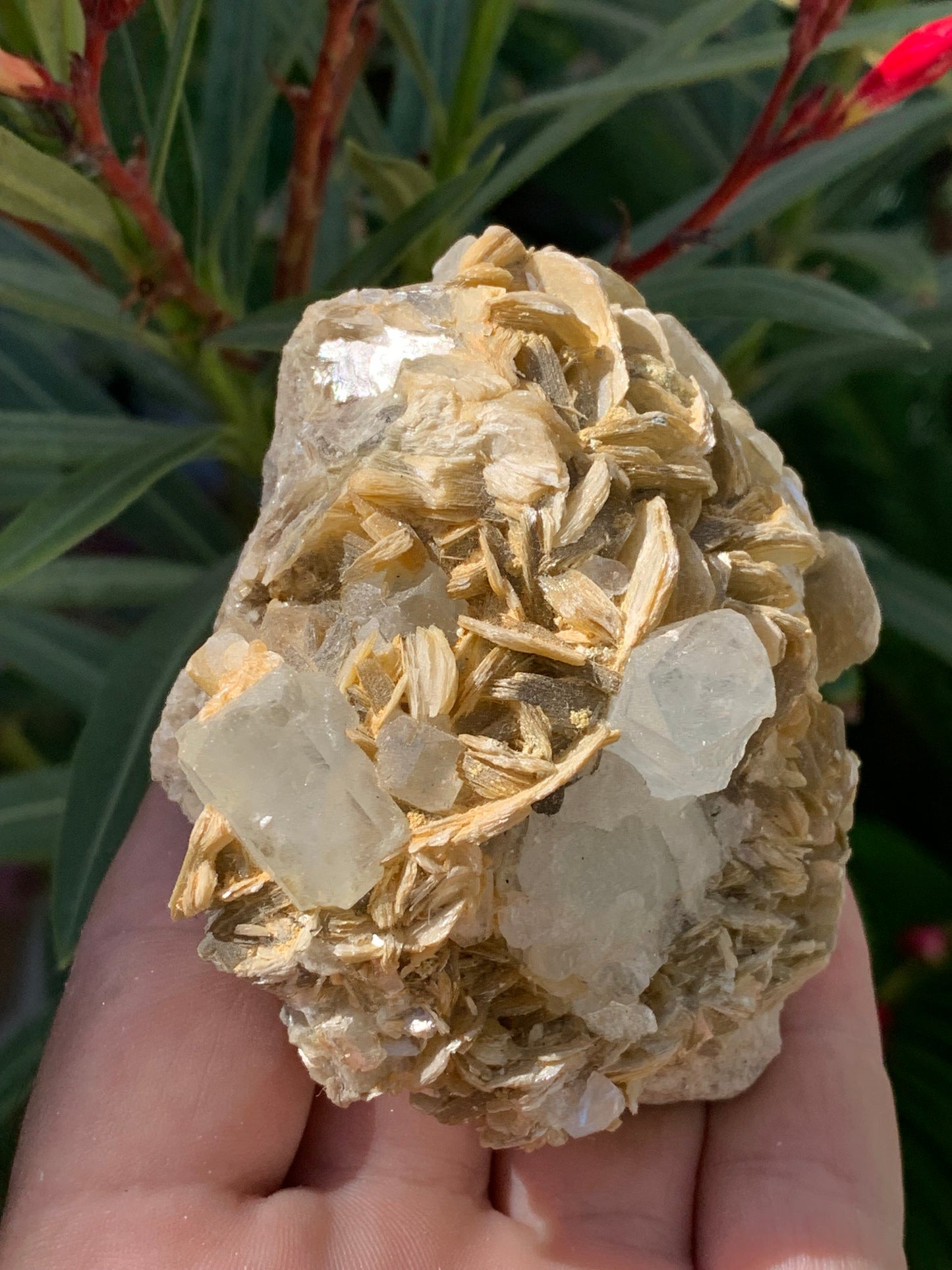 Aigue-marine avec Muscovite, superbe pièce de 82x70x51mm - 311,3 grammes, 2 magnifiques cristaux sur gangue !