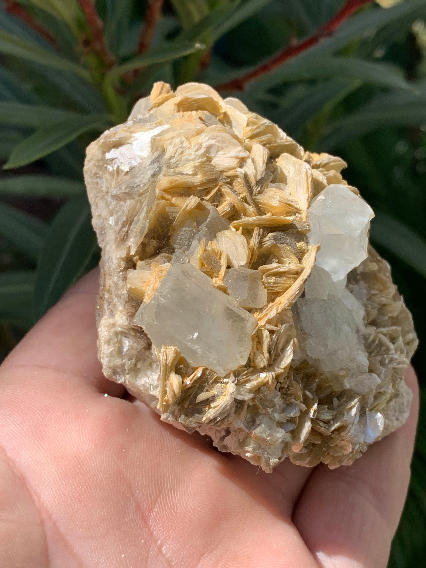Aigue-marine avec Muscovite, superbe pièce de 82x70x51mm - 311,3 grammes, 2 magnifiques cristaux sur gangue !