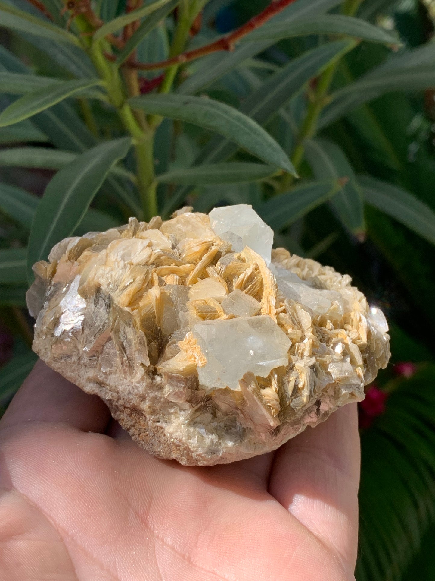 Aigue-marine avec Muscovite, superbe pièce de 82x70x51mm - 311,3 grammes, 2 magnifiques cristaux sur gangue !