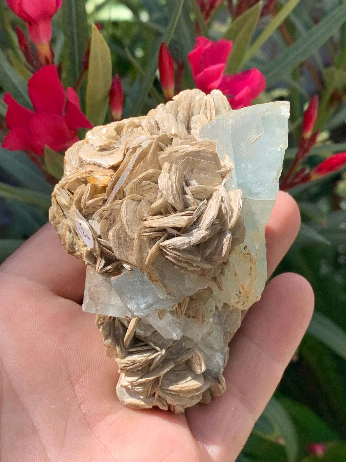 Aigue-marine avec Muscovite, superbe pièce de 87x63x60mm - 218,5 grammes, 3 magnifiques cristaux dont un très gros sur gangue !