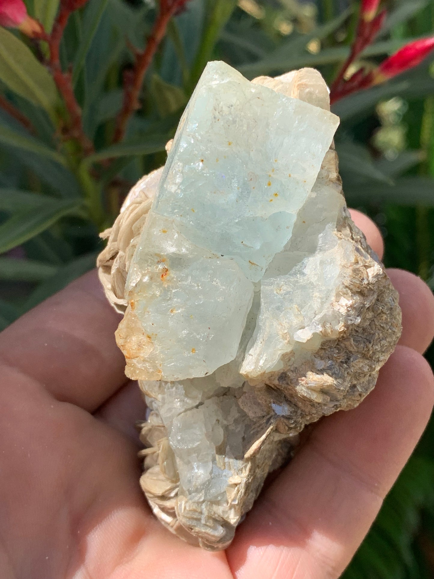 Aigue-marine avec Muscovite, superbe pièce de 87x63x60mm - 218,5 grammes, 3 magnifiques cristaux dont un très gros sur gangue !