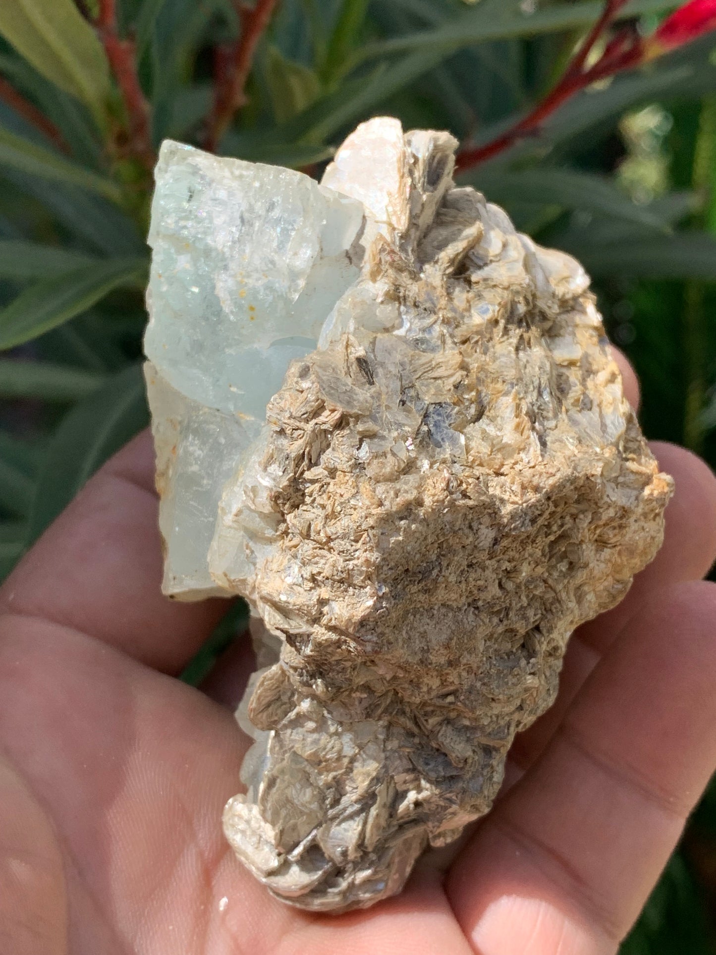 Aigue-marine avec Muscovite, superbe pièce de 87x63x60mm - 218,5 grammes, 3 magnifiques cristaux dont un très gros sur gangue !