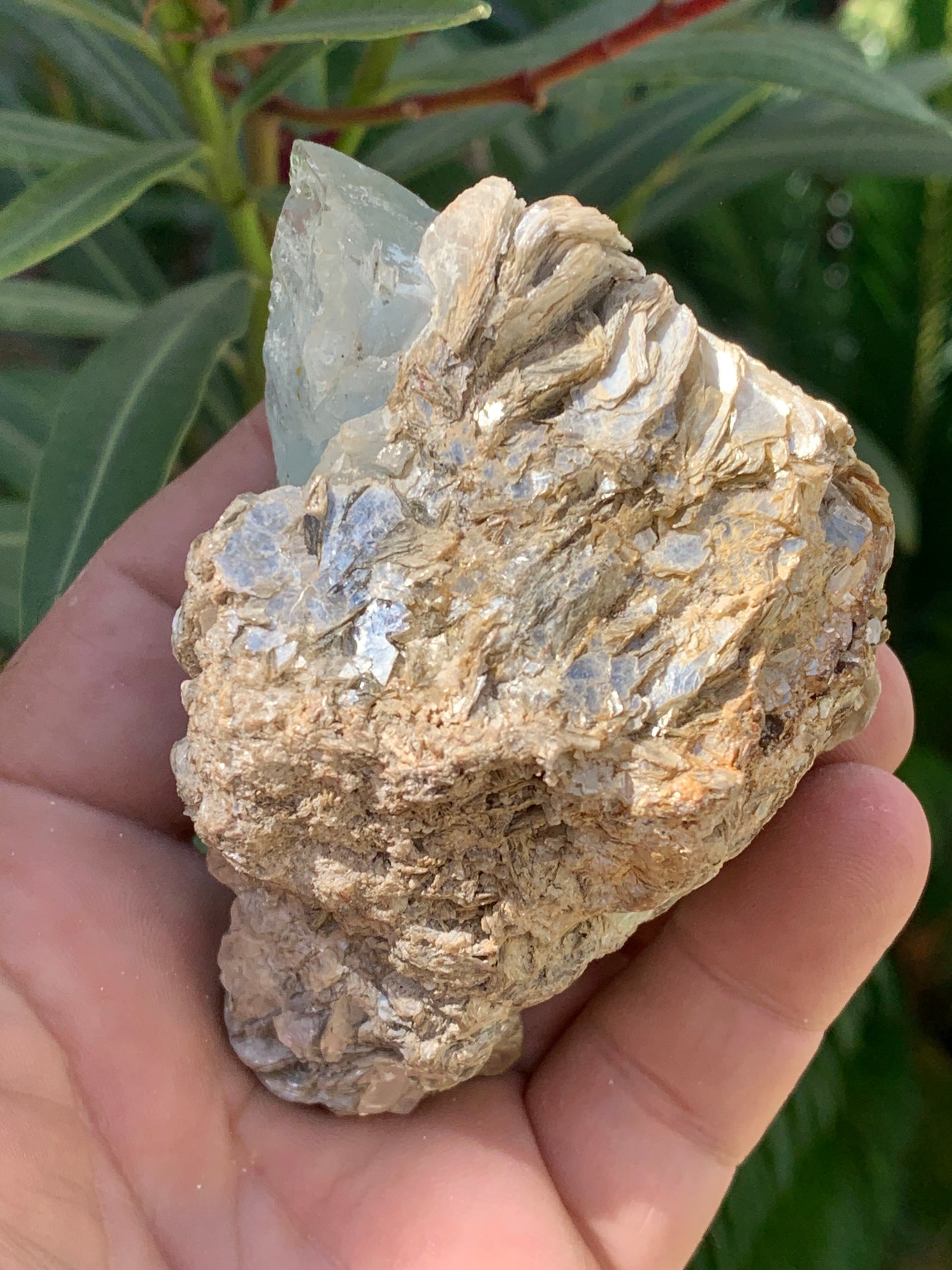 Aigue-marine avec Muscovite, superbe pièce de 87x63x60mm - 218,5 grammes, 3 magnifiques cristaux dont un très gros sur gangue !