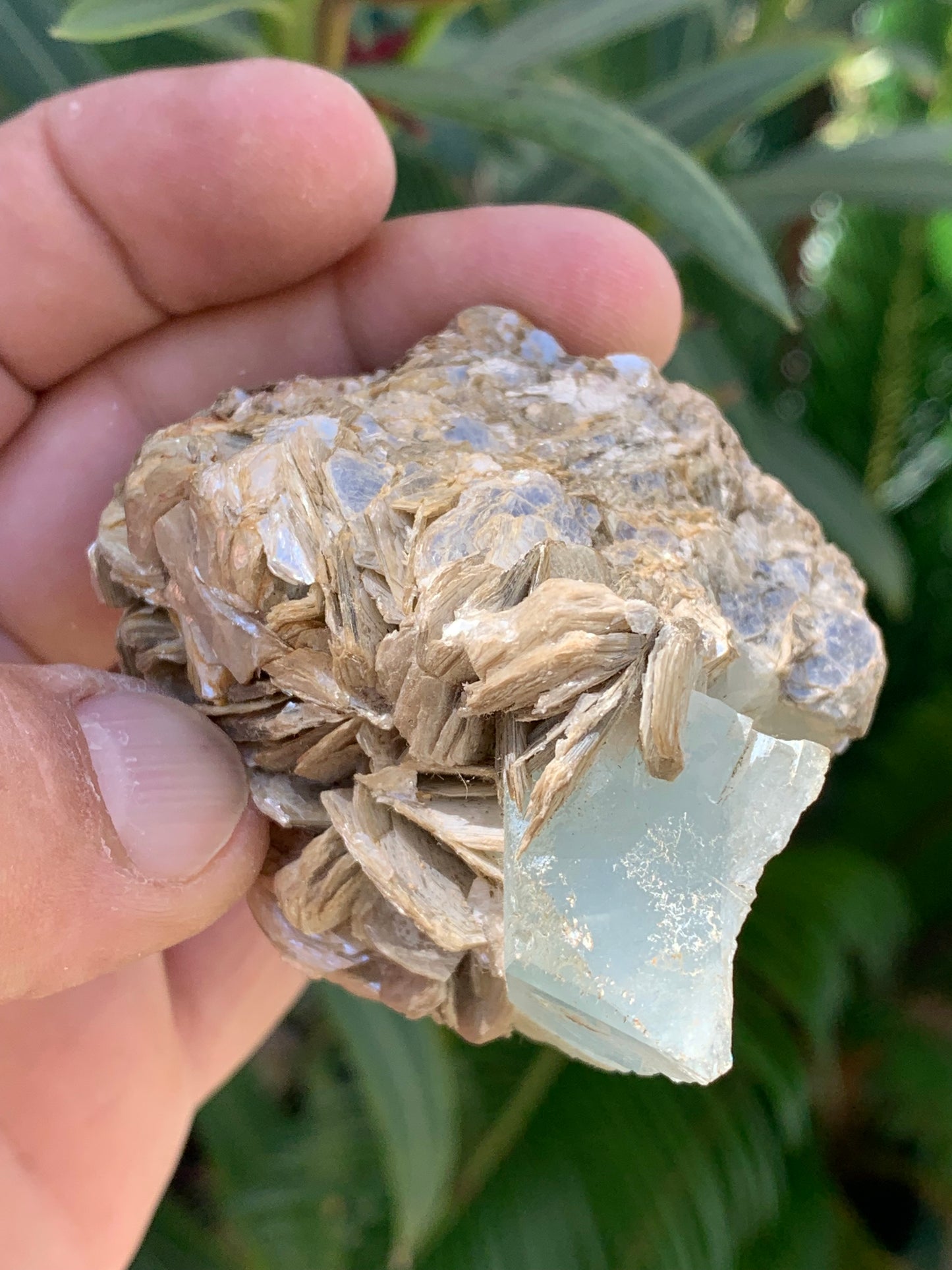 Aigue-marine avec Muscovite, superbe pièce de 87x63x60mm - 218,5 grammes, 3 magnifiques cristaux dont un très gros sur gangue !