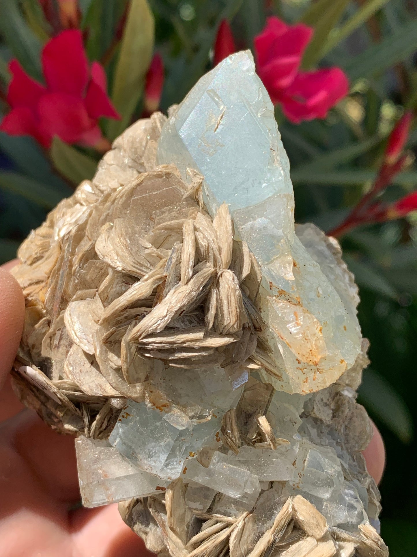 Aigue-marine avec Muscovite, superbe pièce de 87x63x60mm - 218,5 grammes, 3 magnifiques cristaux dont un très gros sur gangue !
