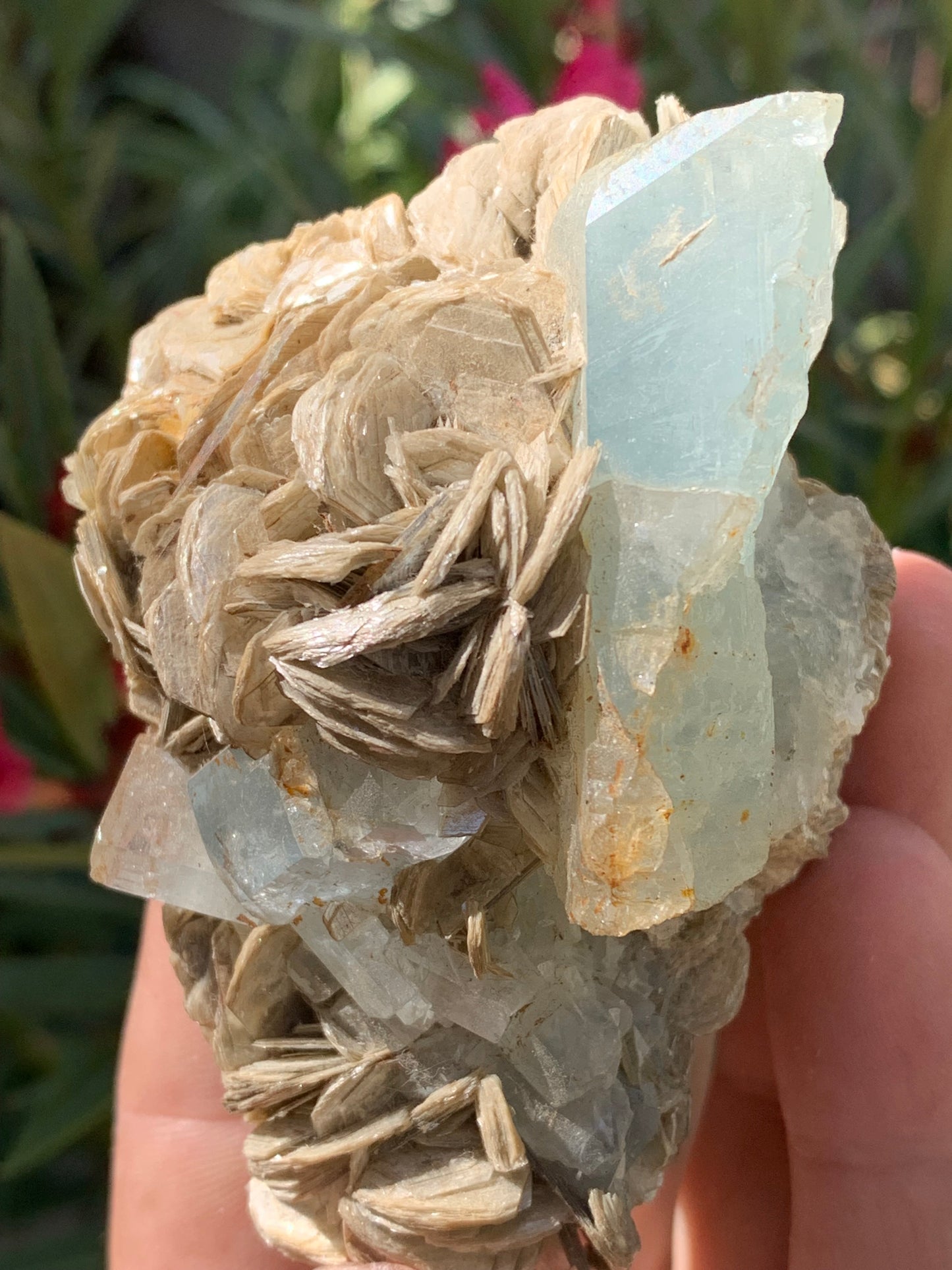 Aigue-marine avec Muscovite, superbe pièce de 87x63x60mm - 218,5 grammes, 3 magnifiques cristaux dont un très gros sur gangue !