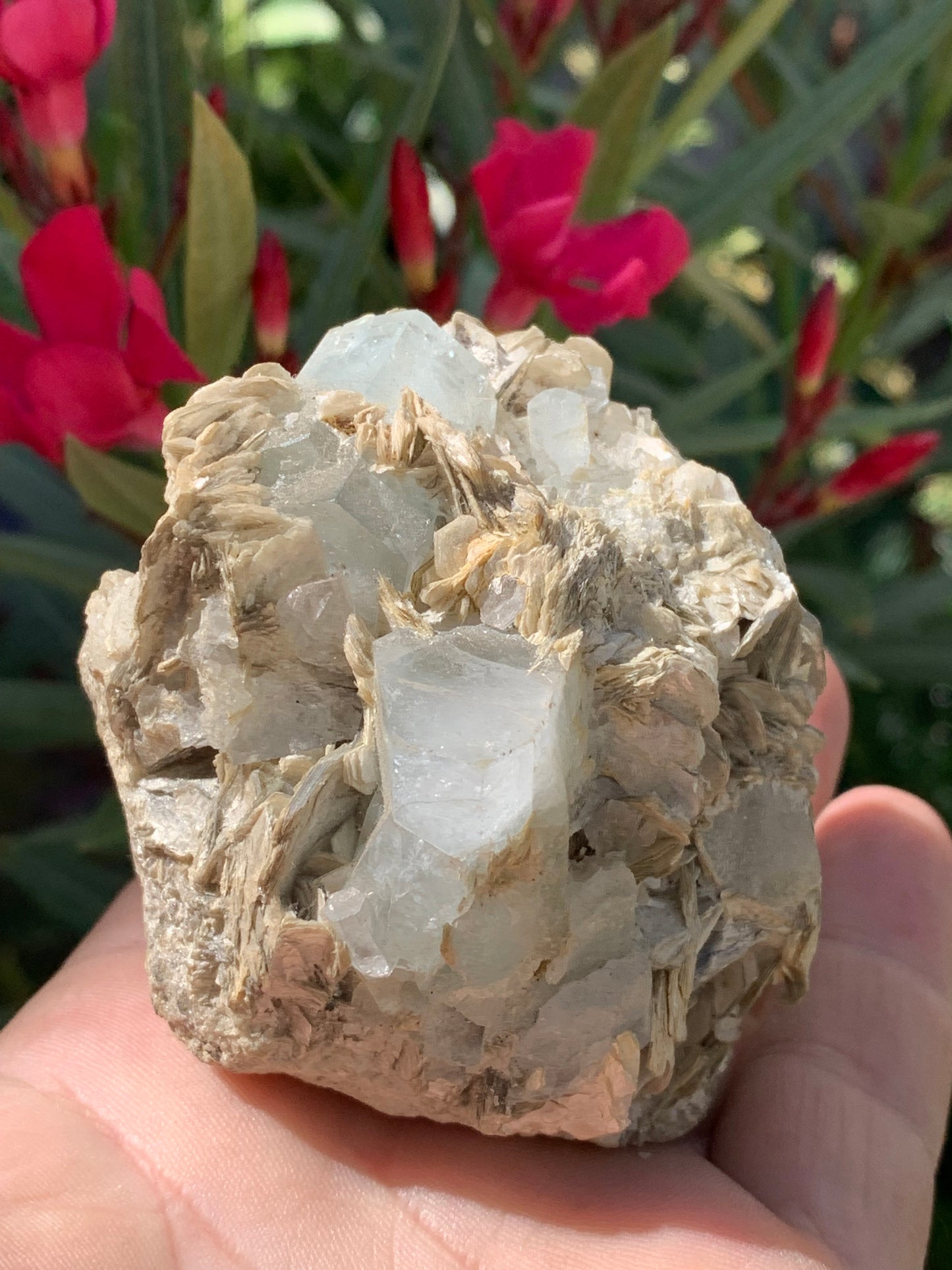 Aigue-marine avec Muscovite, superbe pièce de 76x73x67mm - 321 grammes, 5 magnifiques cristaux de belles tailles !