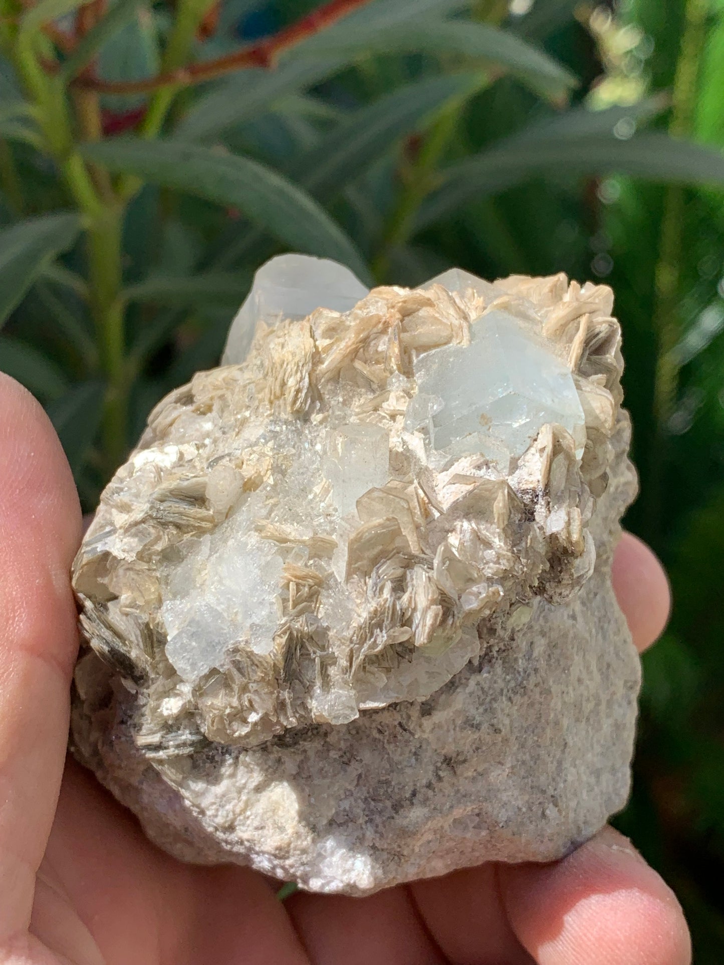 Aigue-marine avec Muscovite, superbe pièce de 76x73x67mm - 321 grammes, 5 magnifiques cristaux de belles tailles !