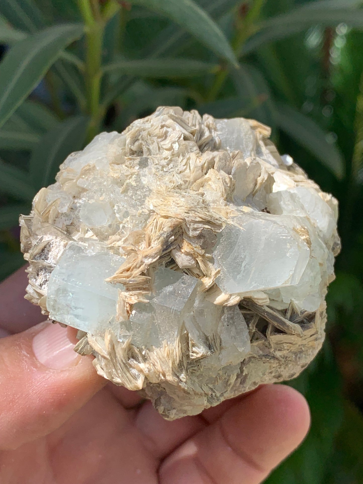 Aigue-marine avec Muscovite, superbe pièce de 76x73x67mm - 321 grammes, 5 magnifiques cristaux de belles tailles !
