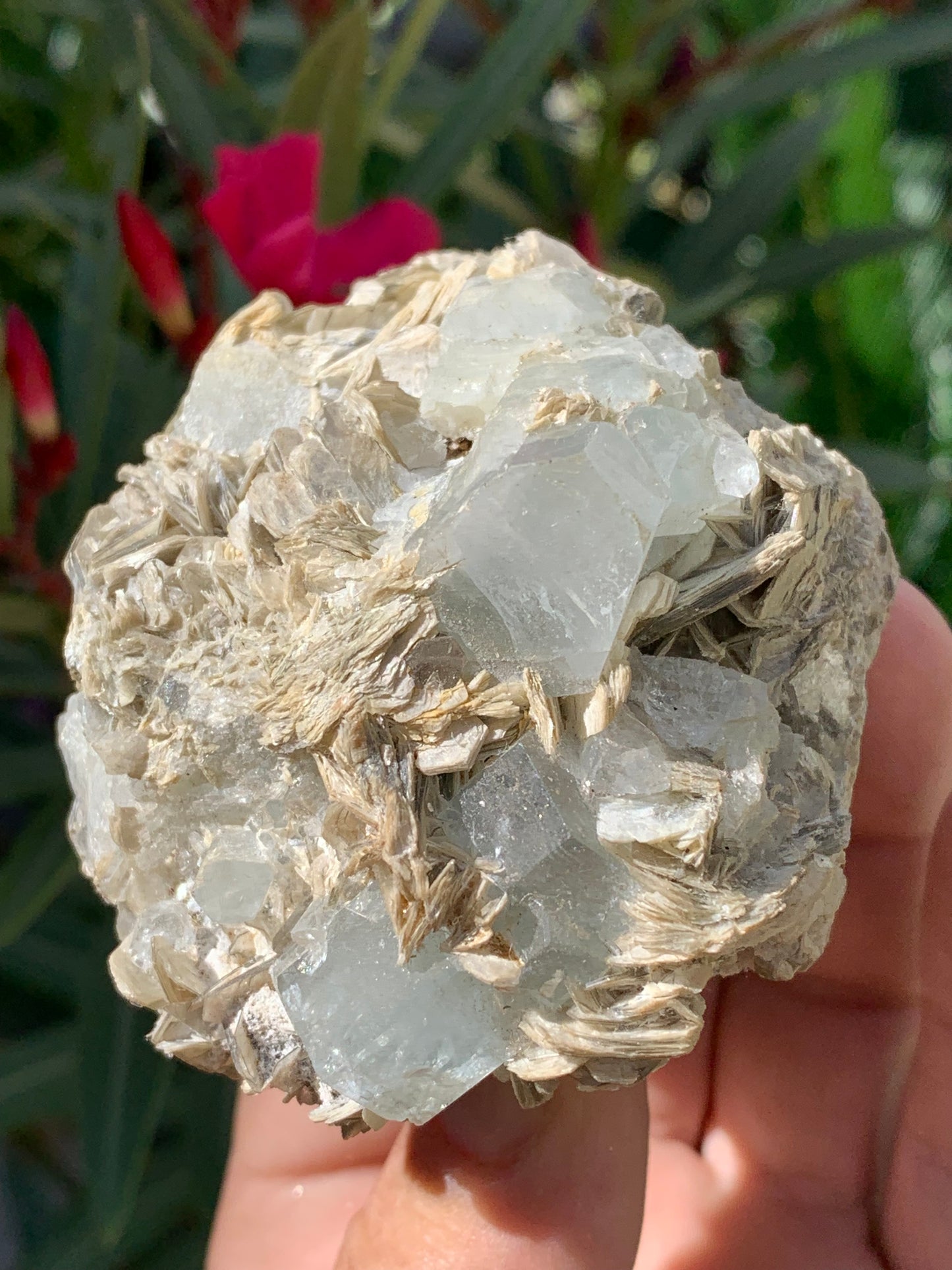 Aigue-marine avec Muscovite, superbe pièce de 76x73x67mm - 321 grammes, 5 magnifiques cristaux de belles tailles !