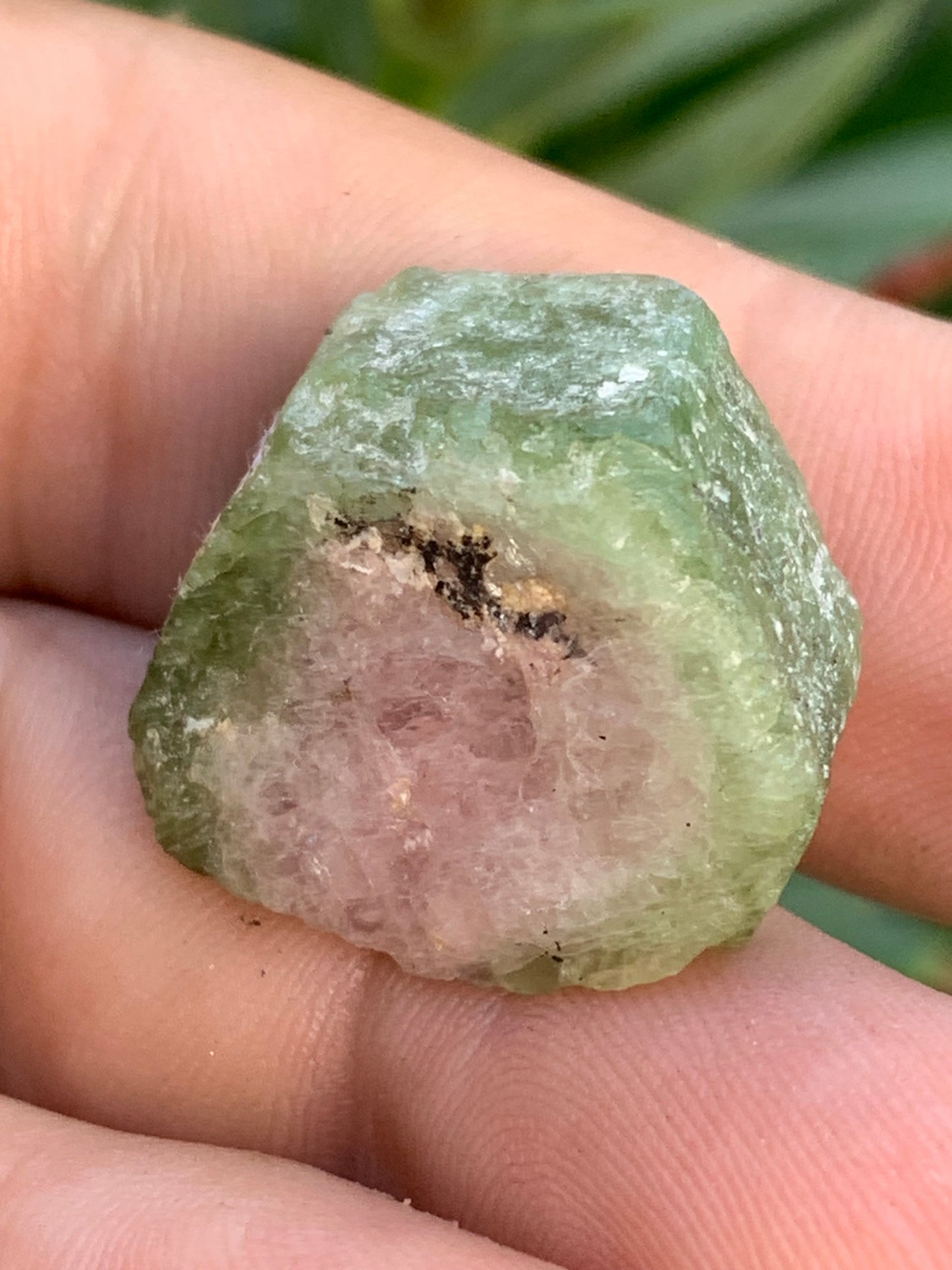 Tourmaline melon d'eau/ pastèque, cristal brut de 27mm x22 x13 environ - 11,3 grammes. Parfait en bijouterie, collection ,exposition...