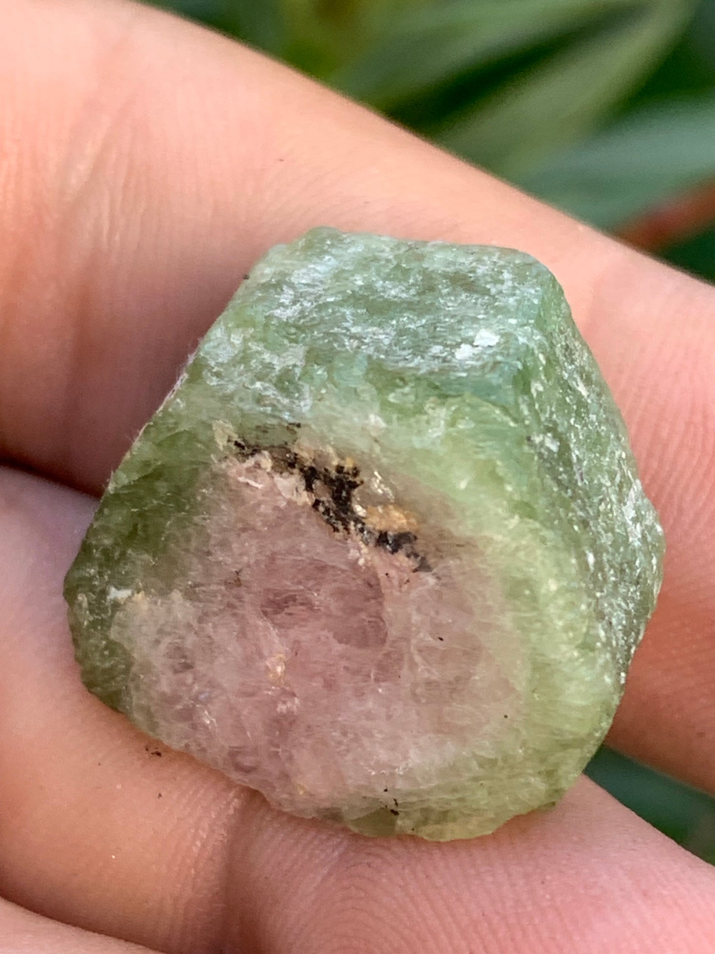 Tourmaline melon d'eau/ pastèque, cristal brut de 27mm x22 x13 environ - 11,3 grammes. Parfait en bijouterie, collection ,exposition...
