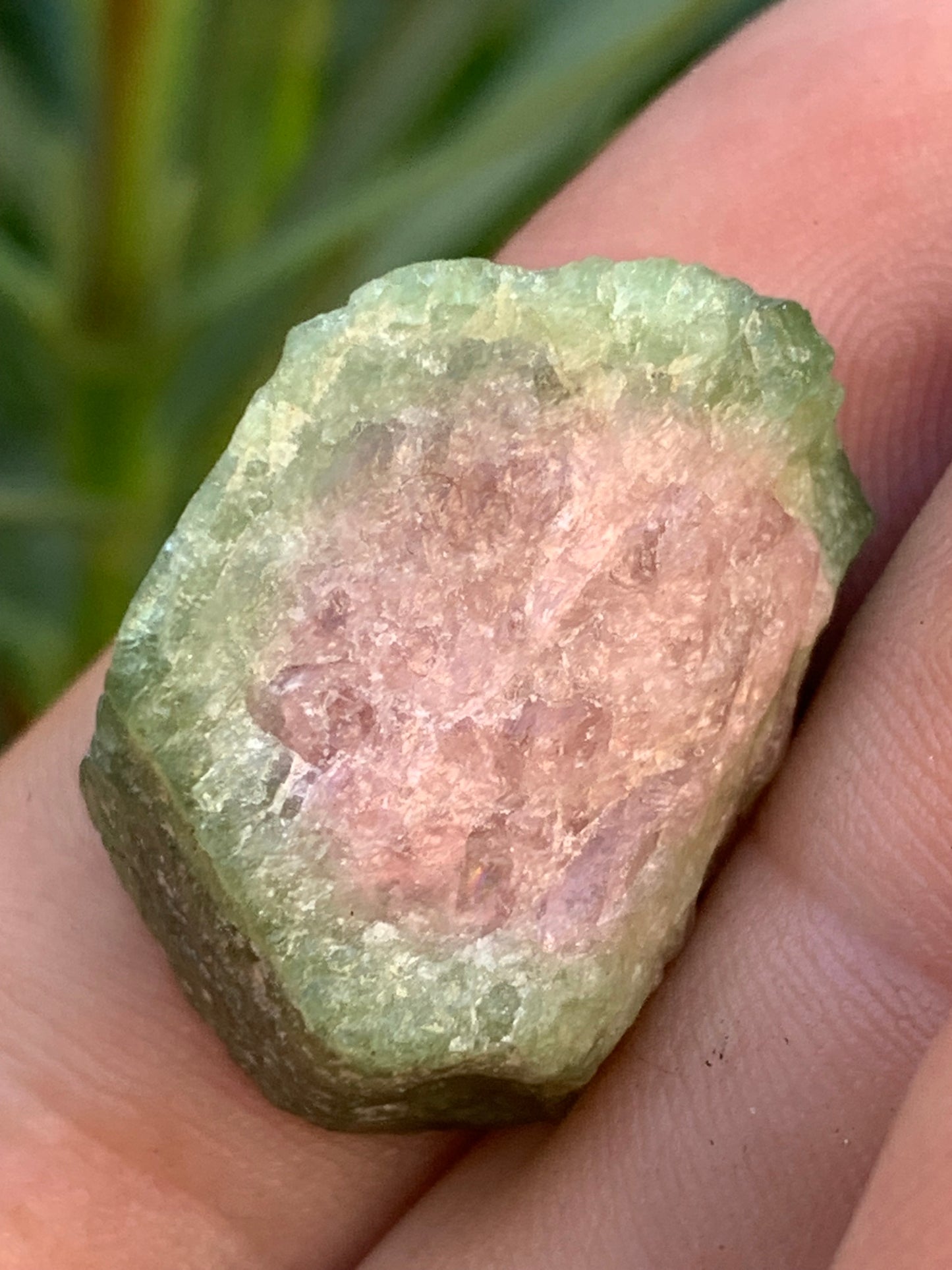 Tourmaline melon d'eau/ pastèque, cristal brut de 27mm x22 x13 environ - 11,3 grammes. Parfait en bijouterie, collection ,exposition...