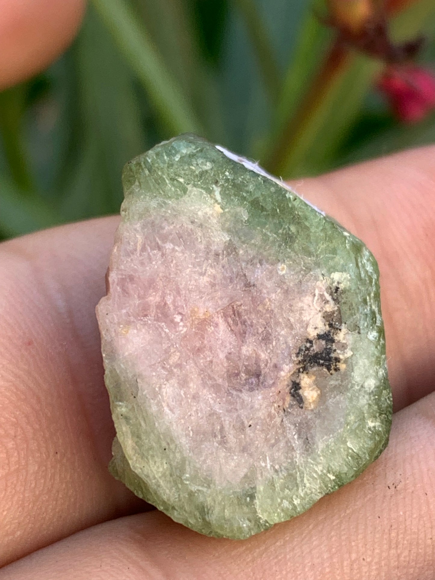 Tourmaline melon d'eau/ pastèque, cristal brut de 27mm x22 x13 environ - 11,3 grammes. Parfait en bijouterie, collection ,exposition...
