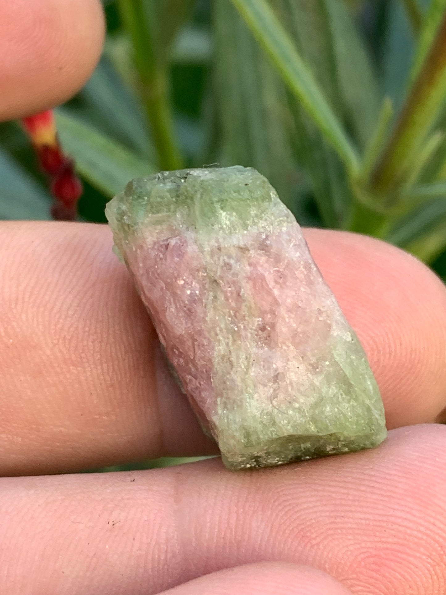 Tourmaline melon d'eau/ pastèque, cristal brut de 27mm x22 x13 environ - 11,3 grammes. Parfait en bijouterie, collection ,exposition...