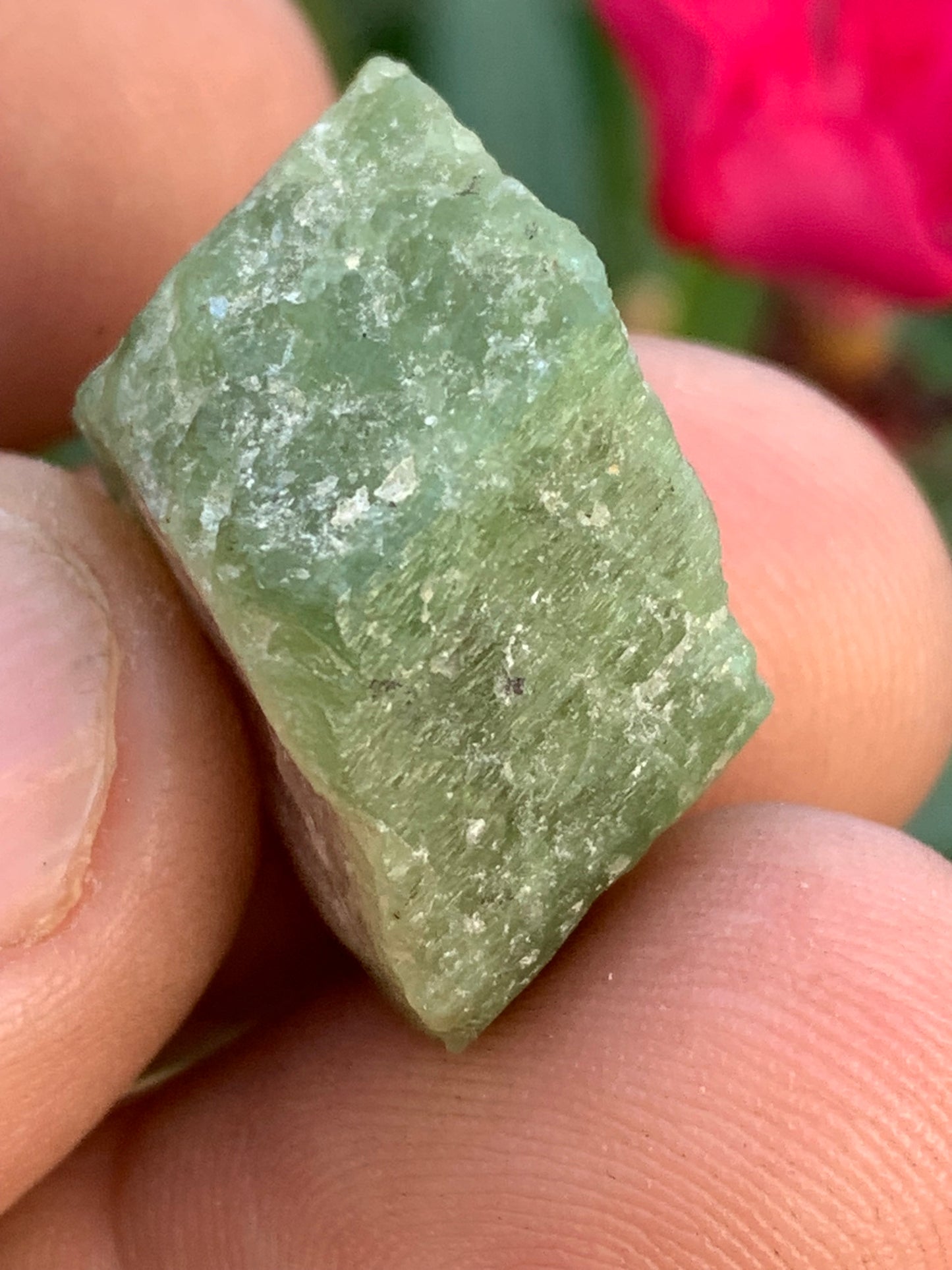 Tourmaline melon d'eau/ pastèque, cristal brut de 27mm x22 x13 environ - 11,3 grammes. Parfait en bijouterie, collection ,exposition...