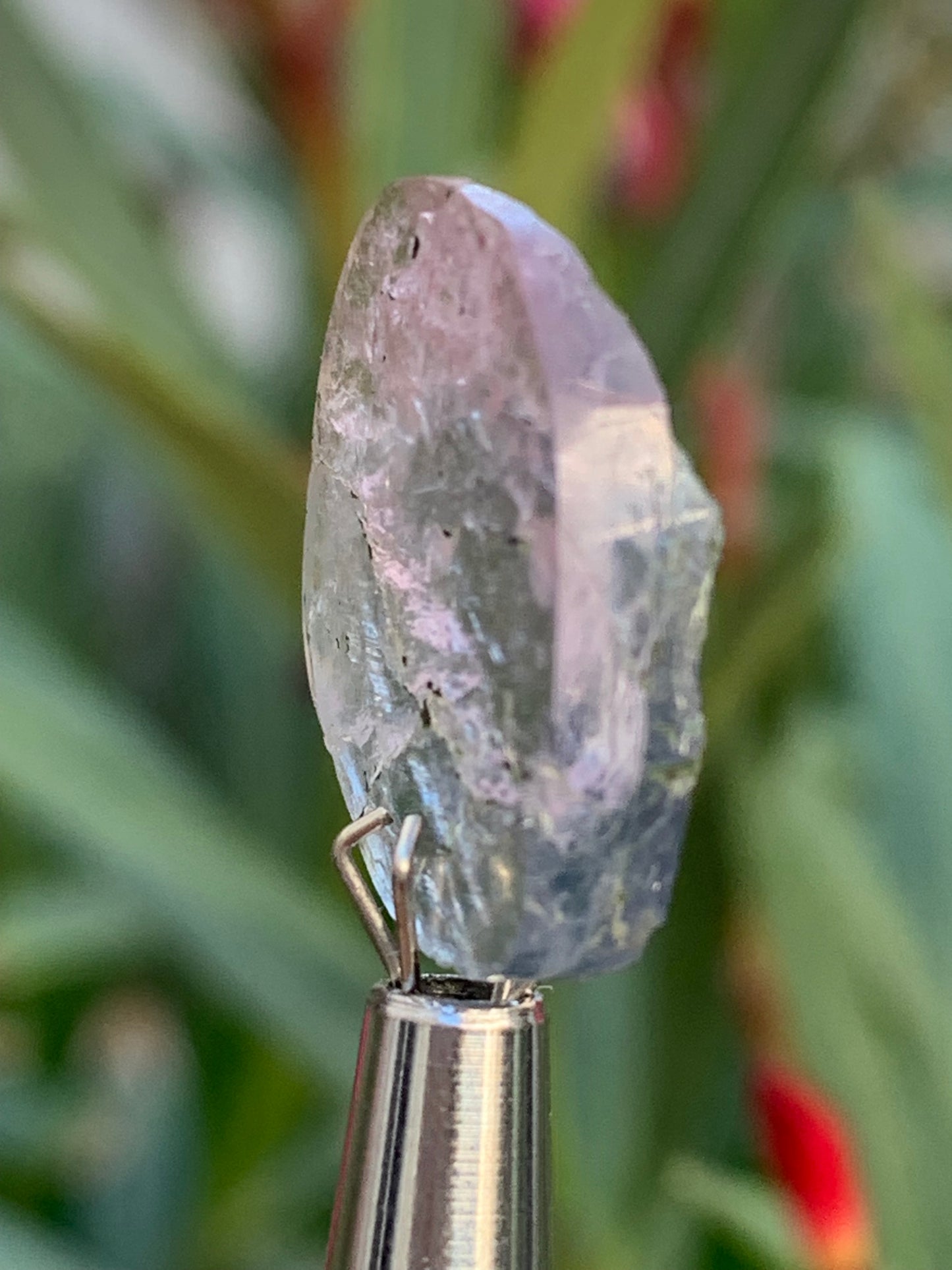 Tourmaline elbaïte de 20mm x 16 x 5 - 2,2 grammes/ 11 carats. Superbe pièce naturelle !