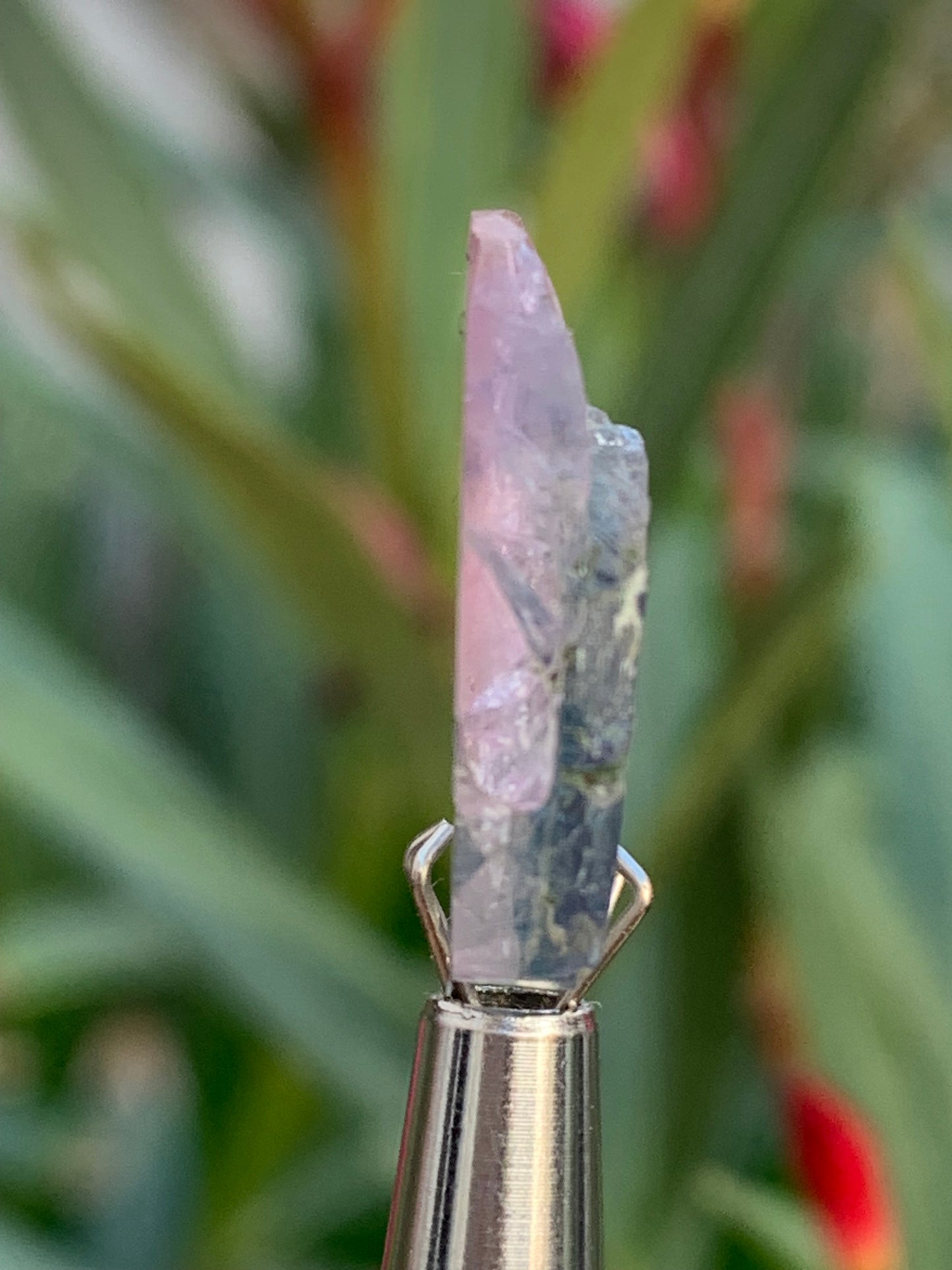 Tourmaline elbaïte de 20mm x 16 x 5 - 2,2 grammes/ 11 carats. Superbe pièce naturelle !