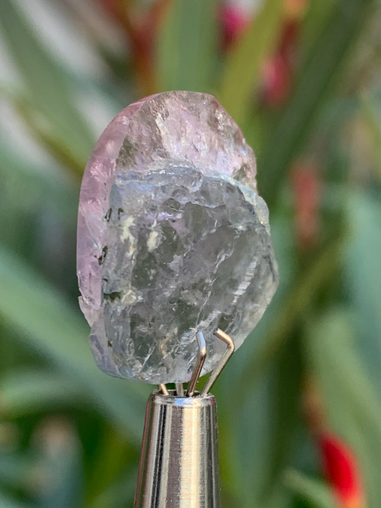 Tourmaline elbaïte de 20mm x 16 x 5 - 2,2 grammes/ 11 carats. Superbe pièce naturelle !