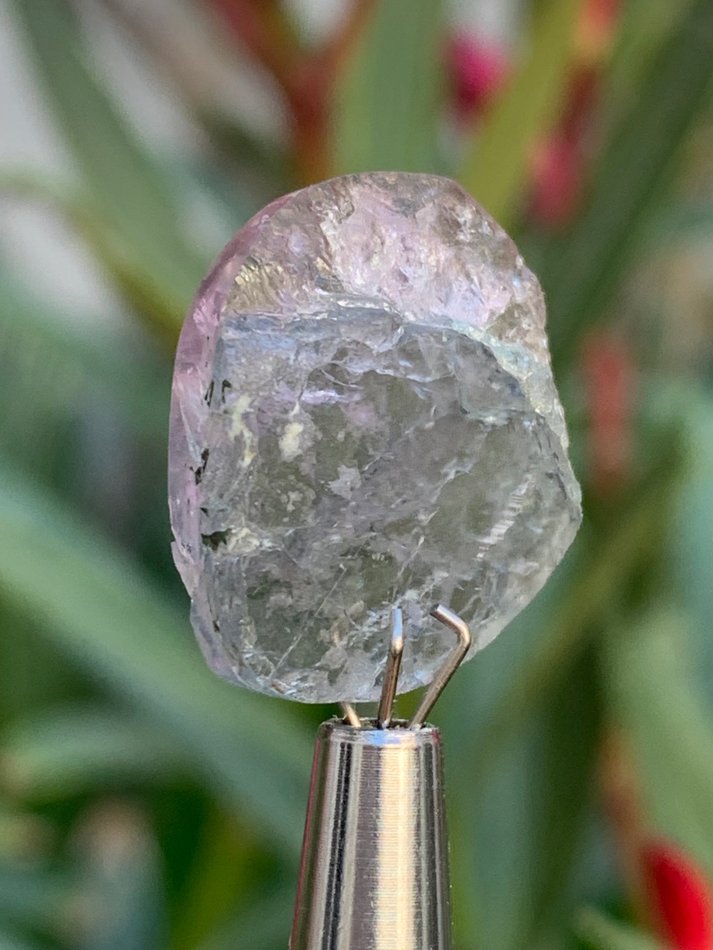 Tourmaline elbaïte de 20mm x 16 x 5 - 2,2 grammes/ 11 carats. Superbe pièce naturelle !