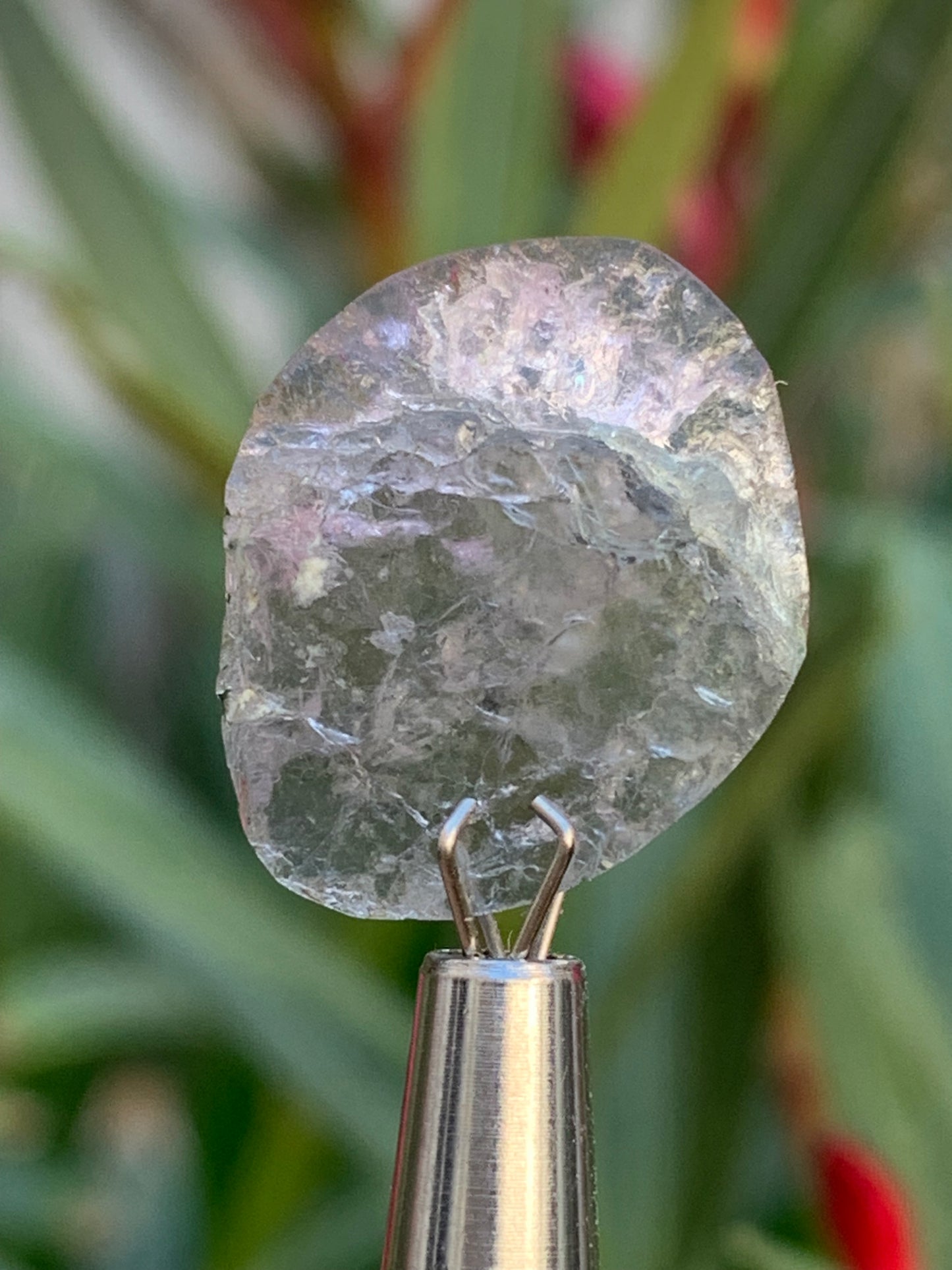 Tourmaline elbaïte de 20mm x 16 x 5 - 2,2 grammes/ 11 carats. Superbe pièce naturelle !