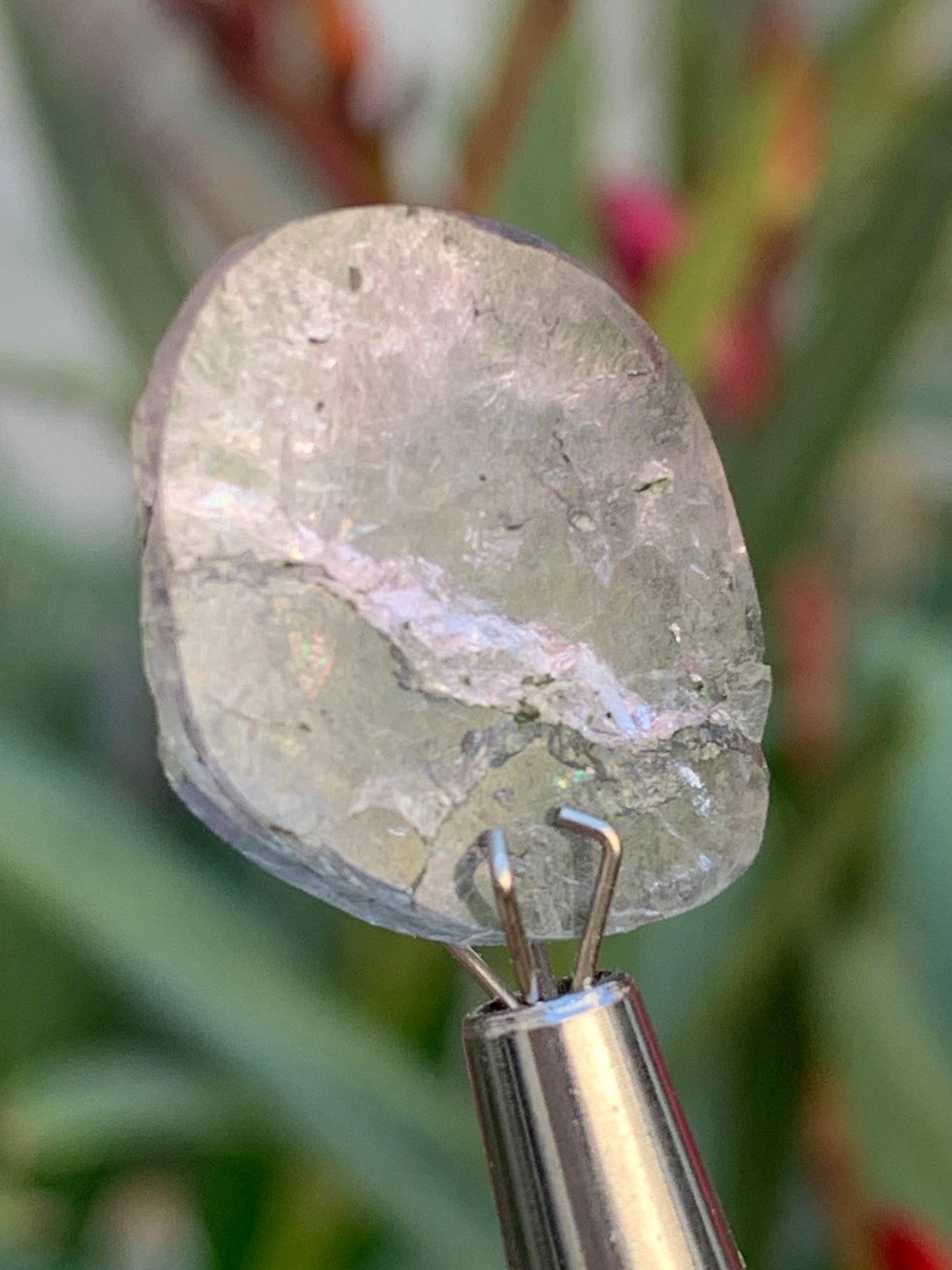 Tourmaline elbaïte de 20mm x 16 x 5 - 2,2 grammes/ 11 carats. Superbe pièce naturelle !