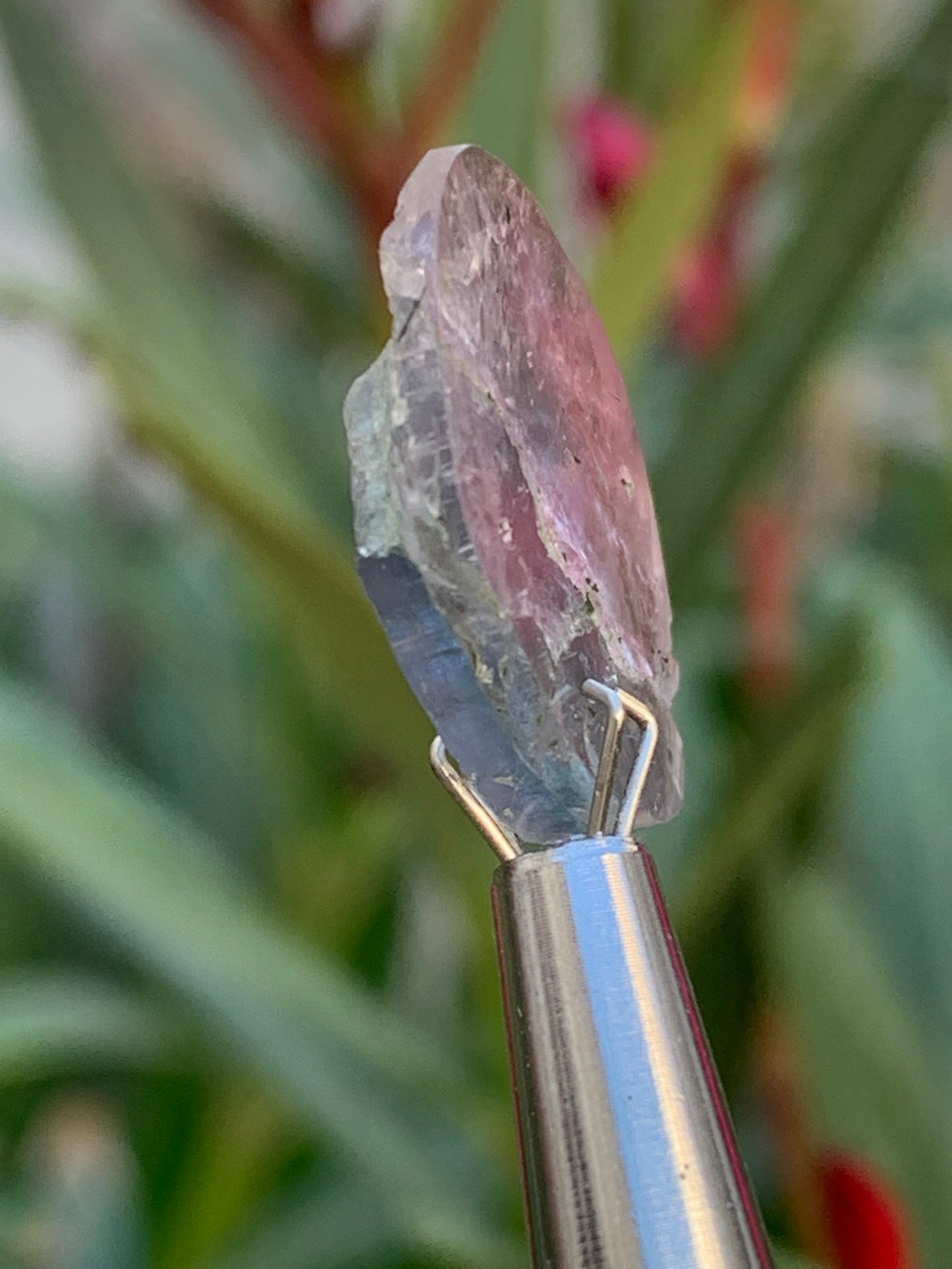 Tourmaline elbaïte de 20mm x 16 x 5 - 2,2 grammes/ 11 carats. Superbe pièce naturelle !