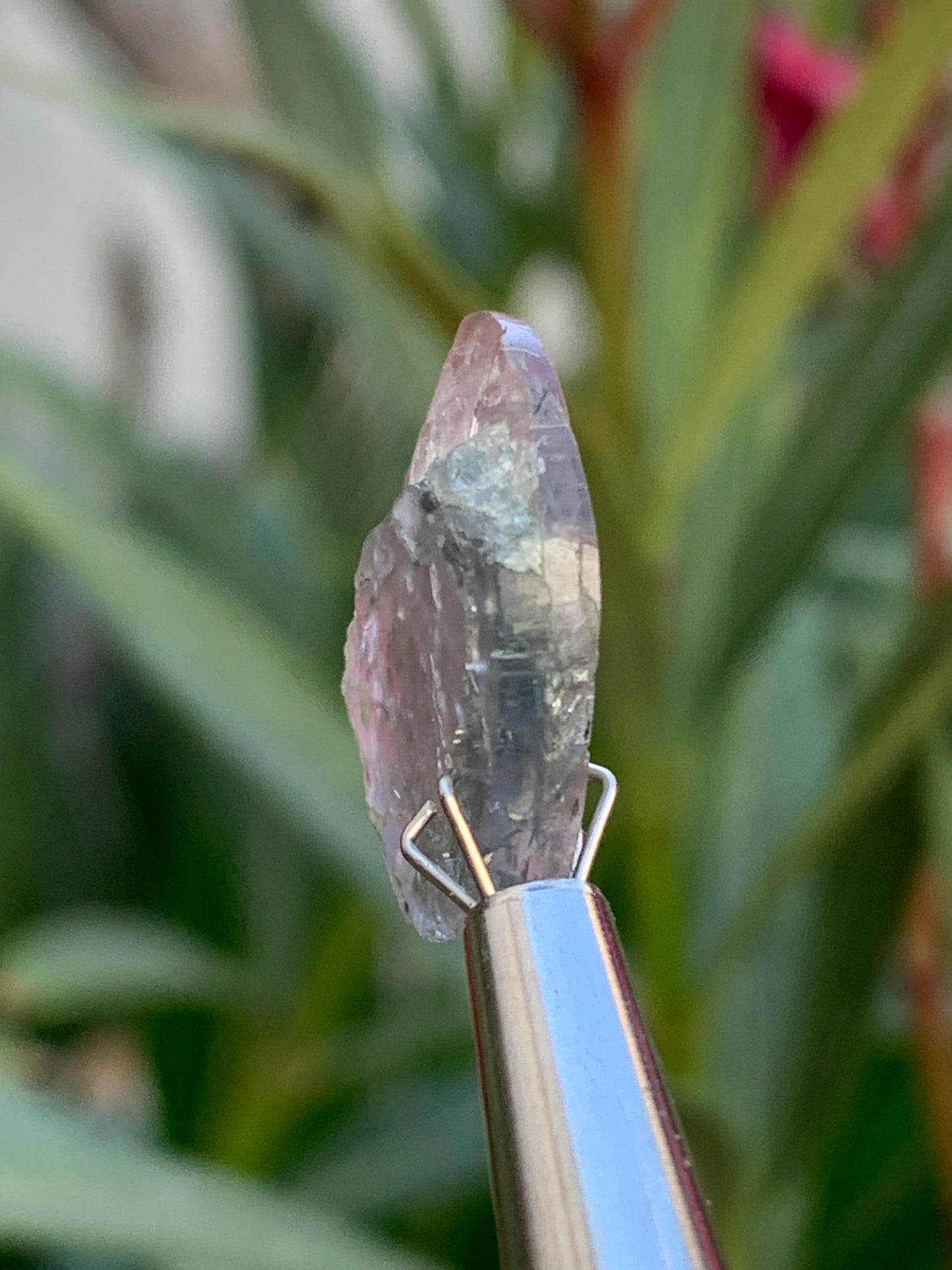 Tourmaline elbaïte de 20mm x 16 x 5 - 2,2 grammes/ 11 carats. Superbe pièce naturelle !