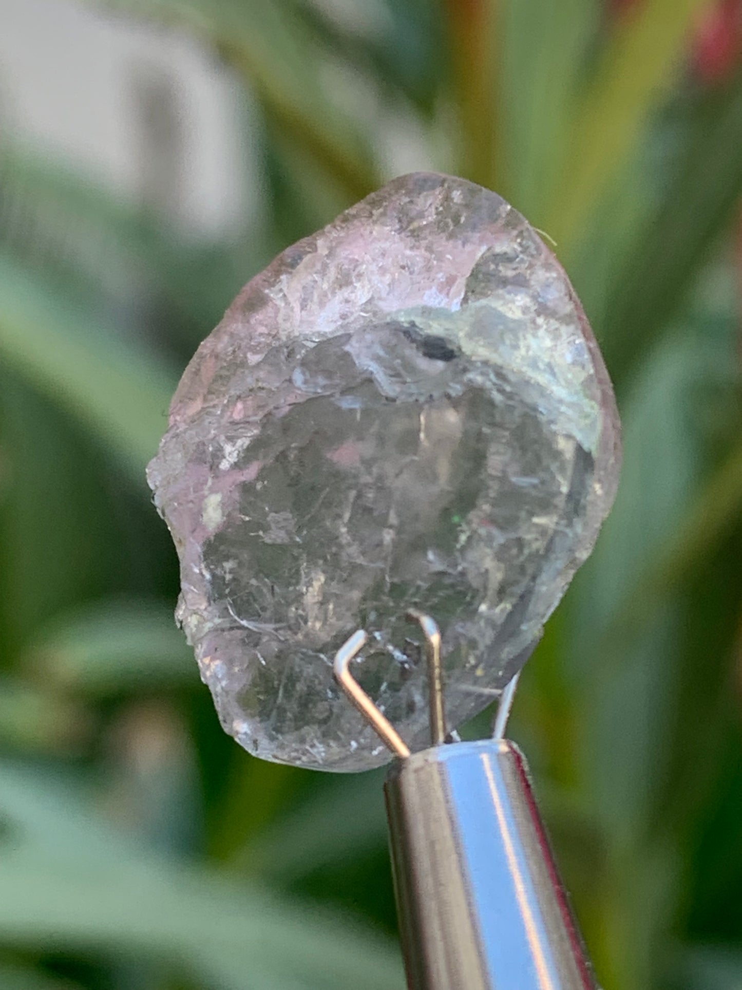 Tourmaline elbaïte de 20mm x 16 x 5 - 2,2 grammes/ 11 carats. Superbe pièce naturelle !