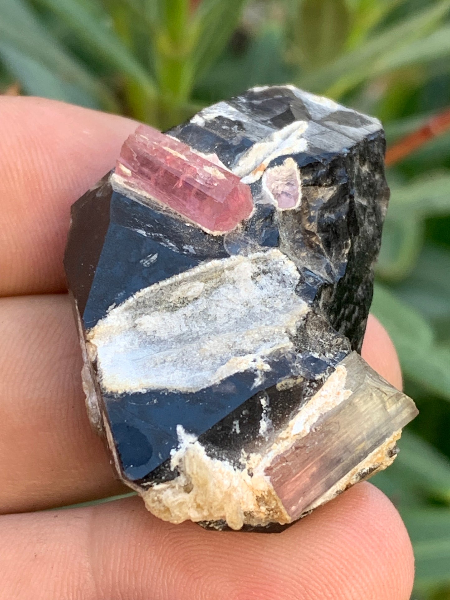Morion Quartz / Smoky Quartz with Rubellite Tourmaline, natural specimen of 50 x 37 x 24mm - 37.5 grams. Beautiful little piece!