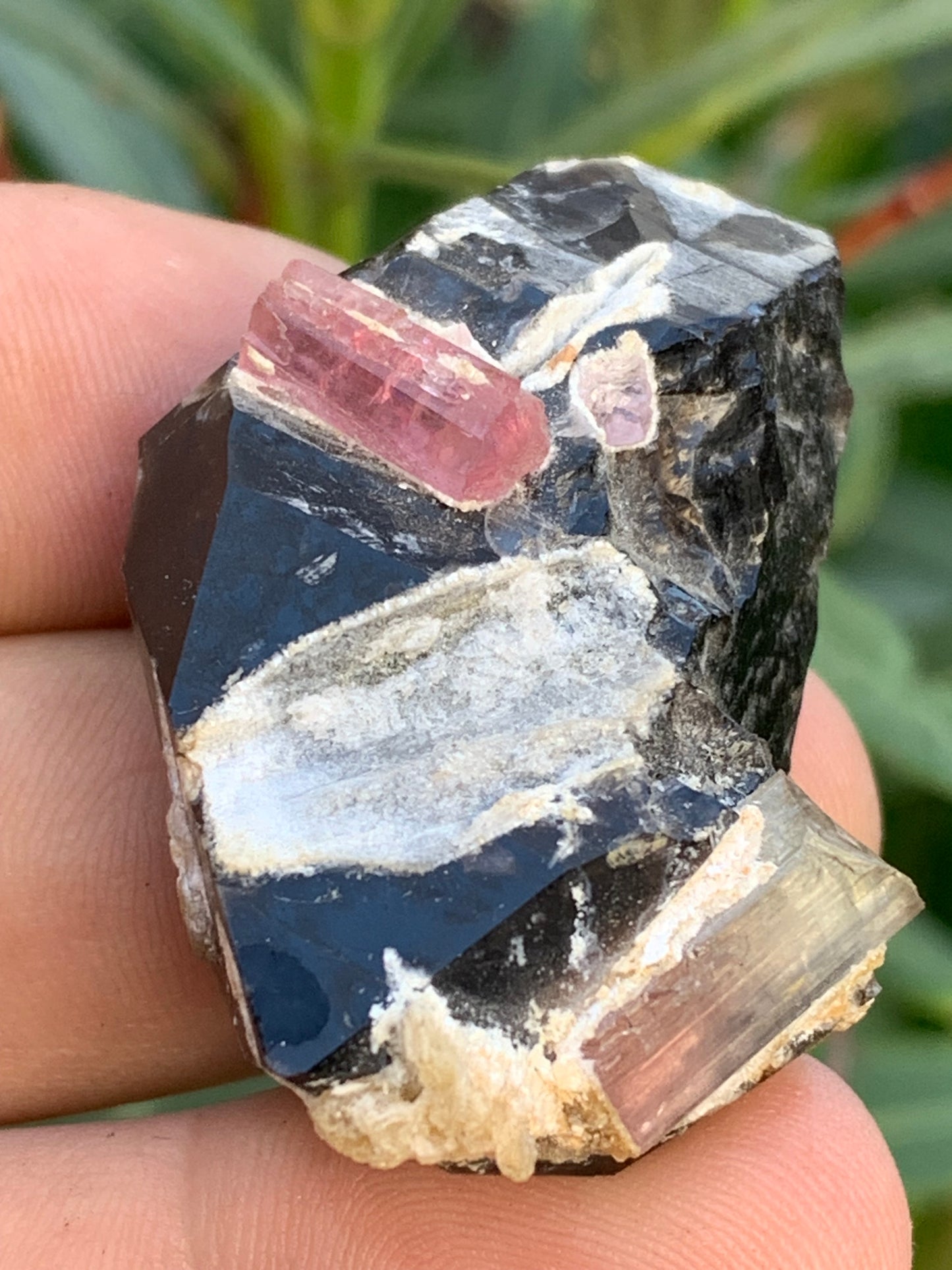 Morion Quartz / Smoky Quartz with Rubellite Tourmaline, natural specimen of 50 x 37 x 24mm - 37.5 grams. Beautiful little piece!