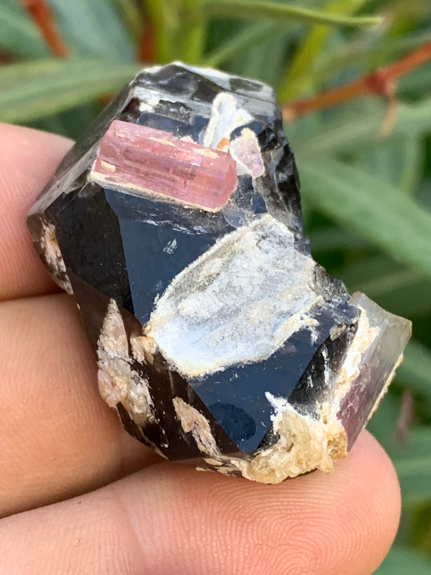 Morion Quartz / Smoky Quartz with Rubellite Tourmaline, natural specimen of 50 x 37 x 24mm - 37.5 grams. Beautiful little piece!