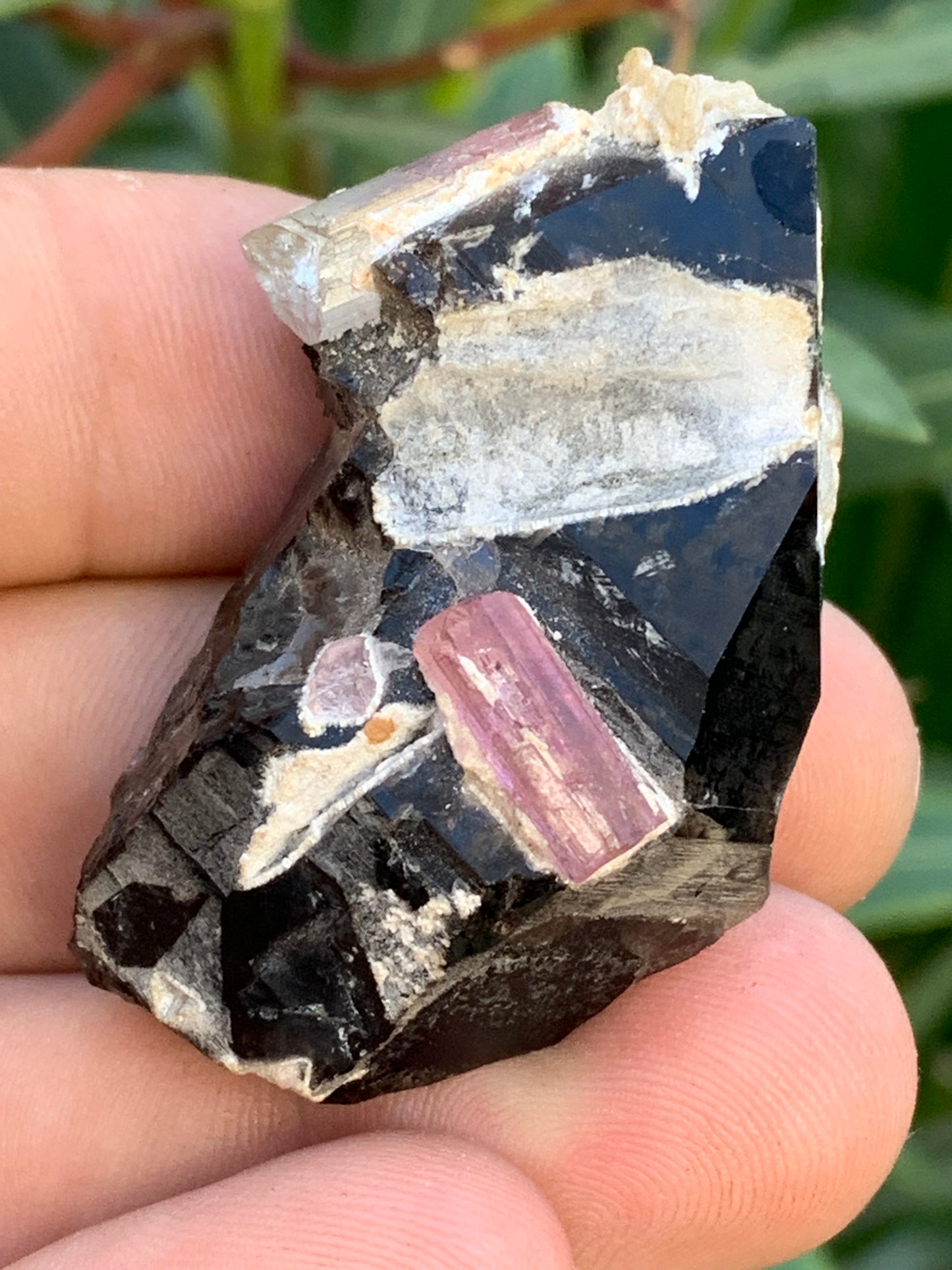 Morion Quartz / Smoky Quartz with Rubellite Tourmaline, natural specimen of 50 x 37 x 24mm - 37.5 grams. Beautiful little piece!